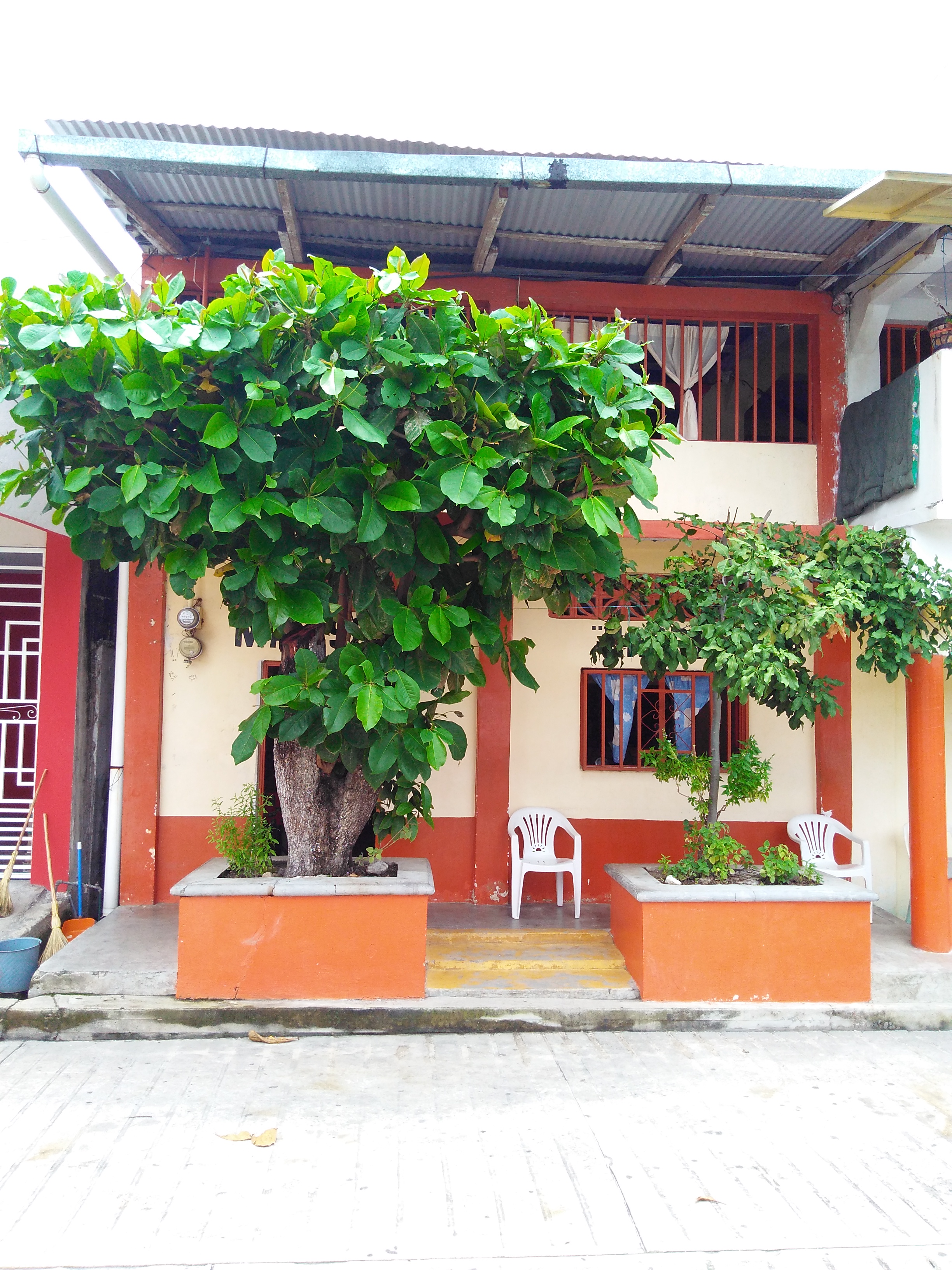 Marisquería HARRY image 6