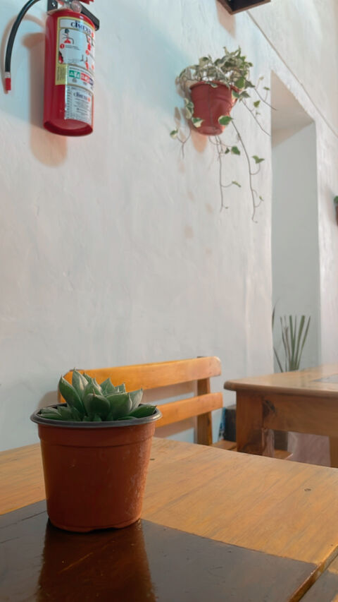StreetFood Atlixco image 6