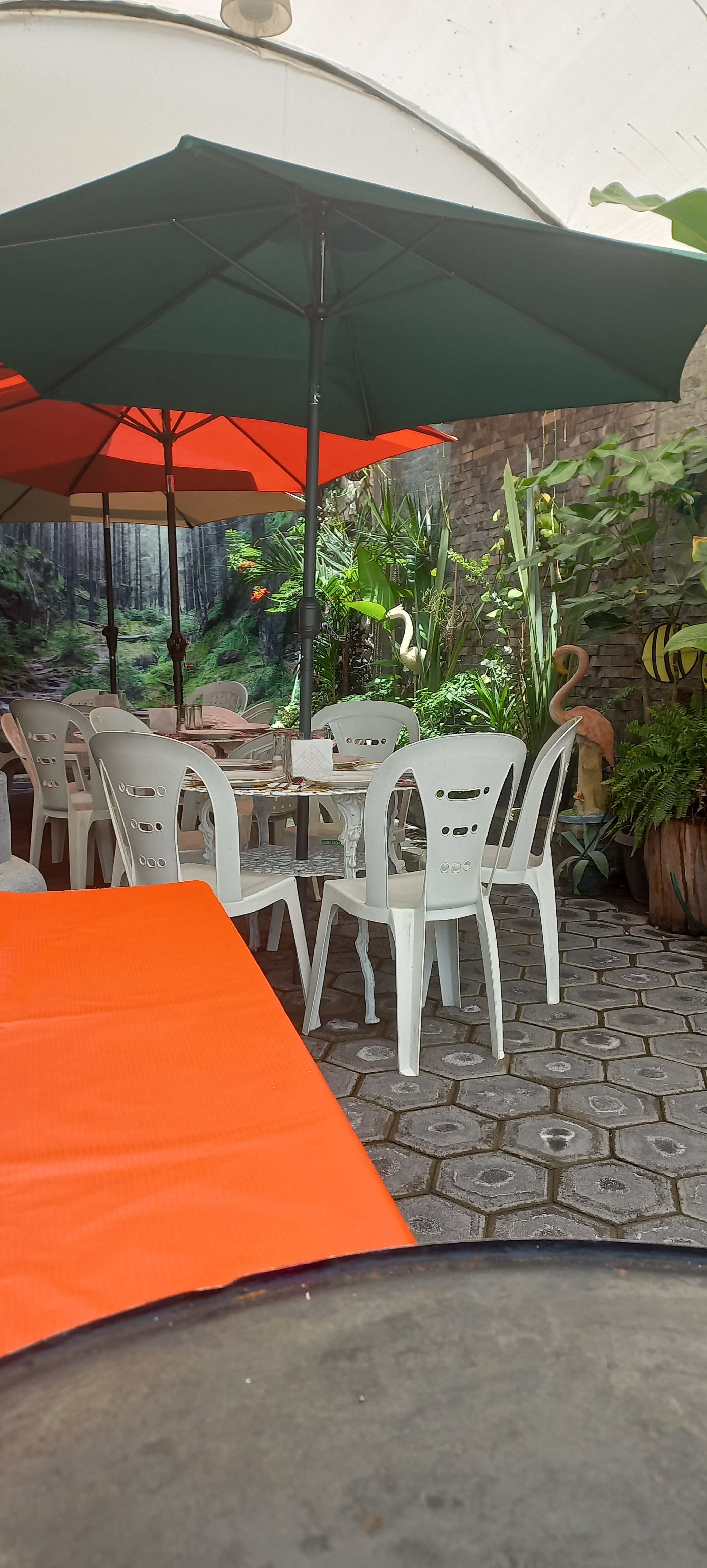 Restaurant Tabachin image 7