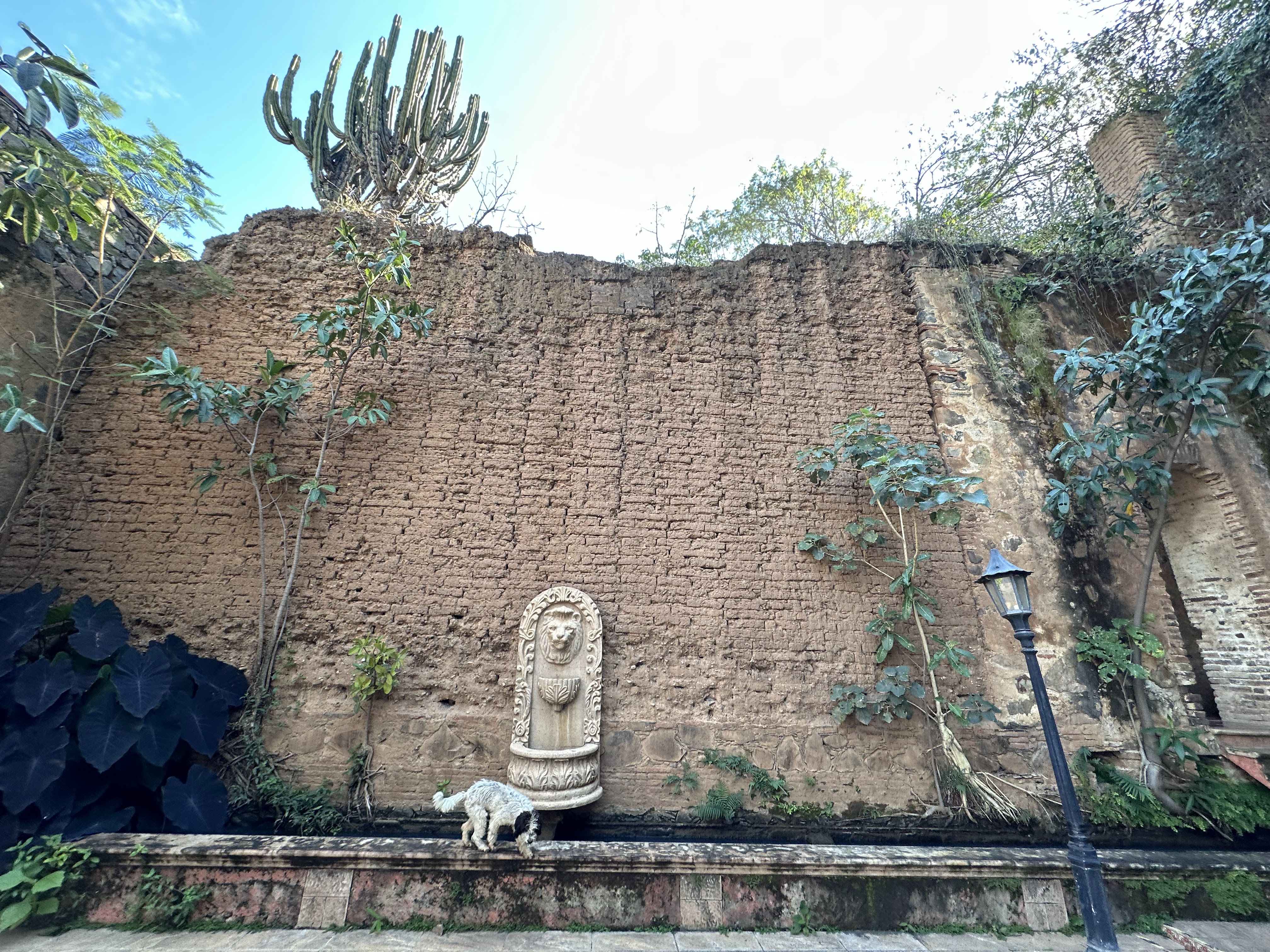 Ruinas Chimulco Restaurante image 7