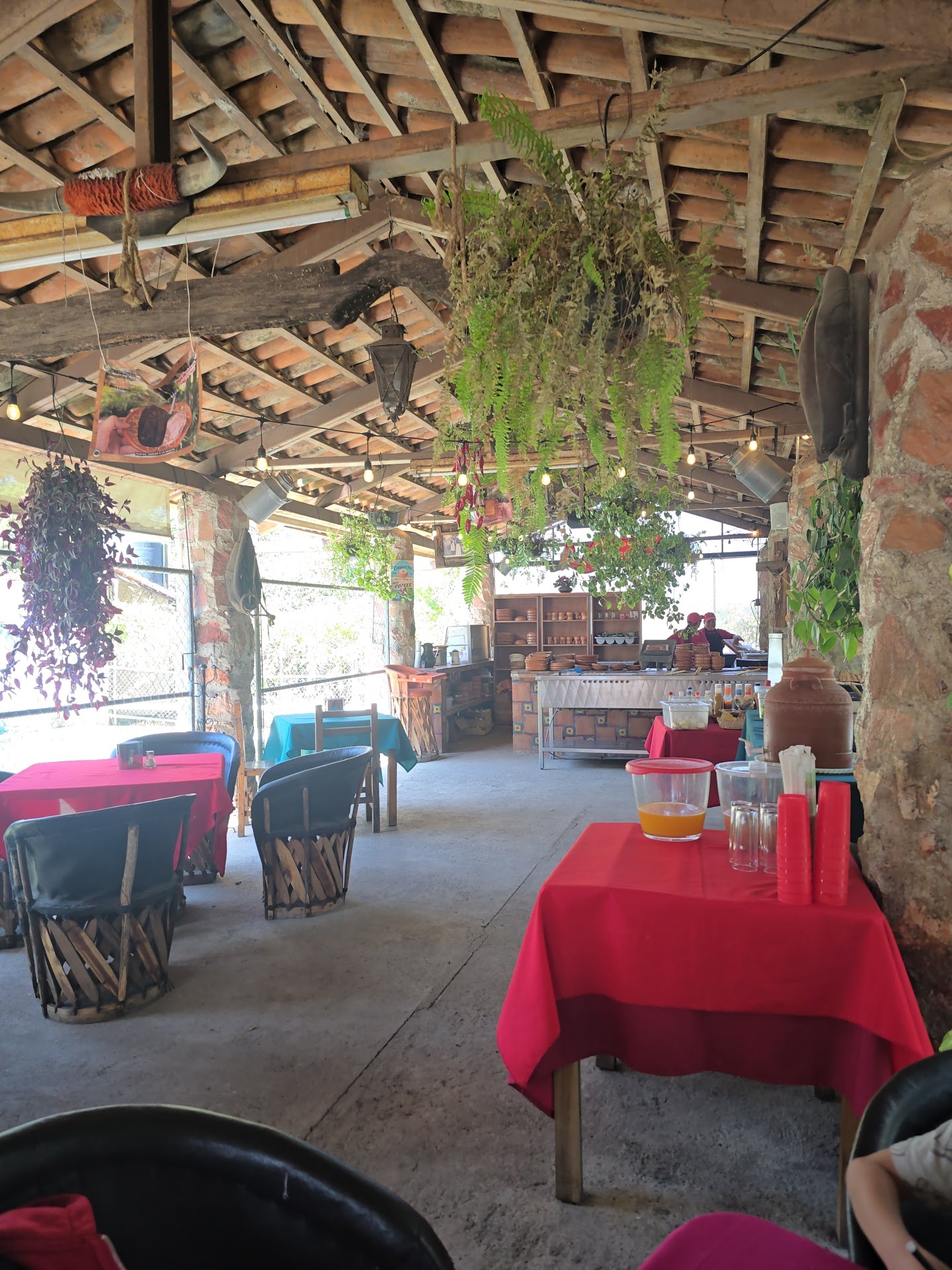 Hacienda San Joaquin Campestre image 4