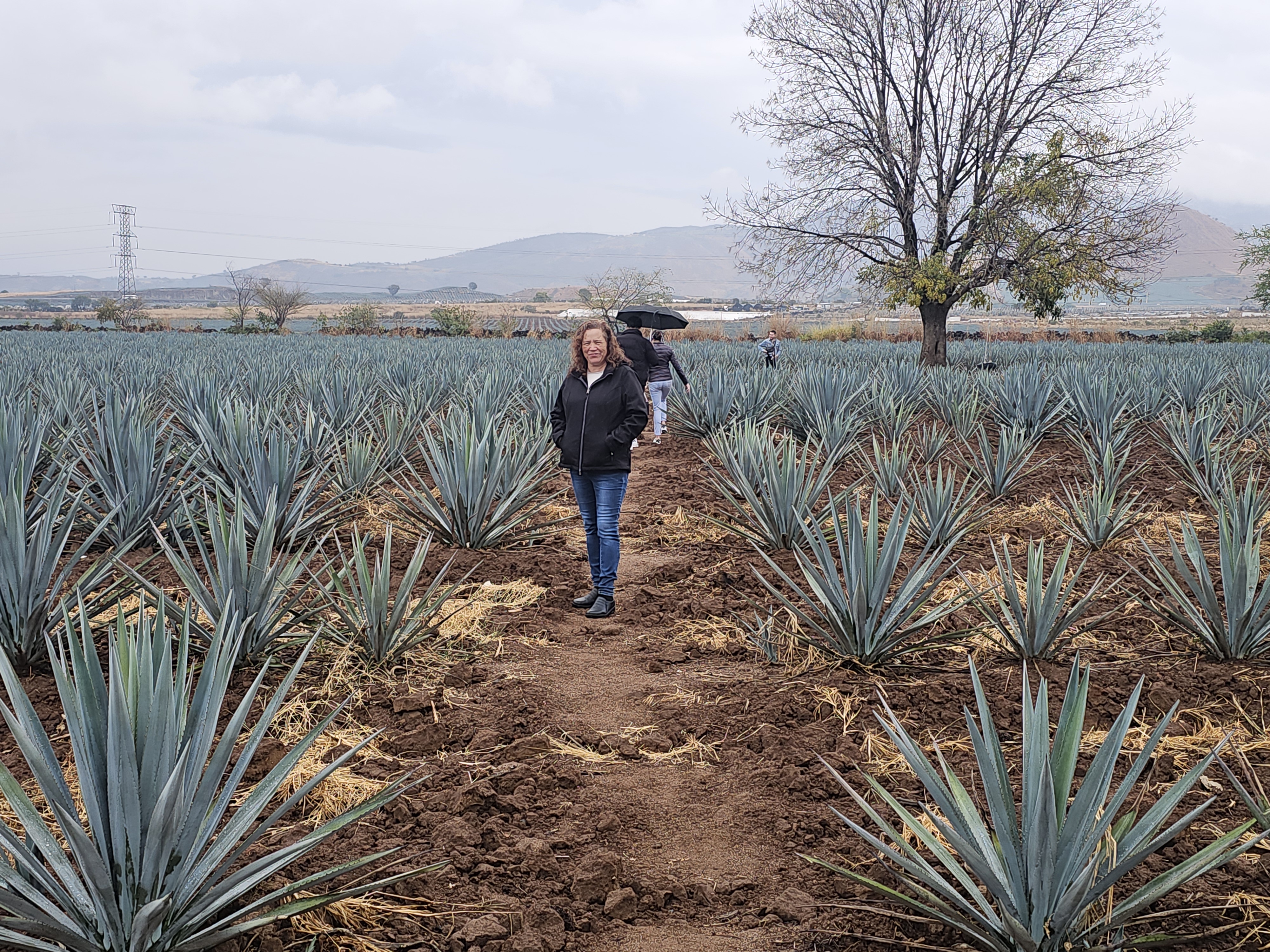 Cantaritos La Tequilera image 6