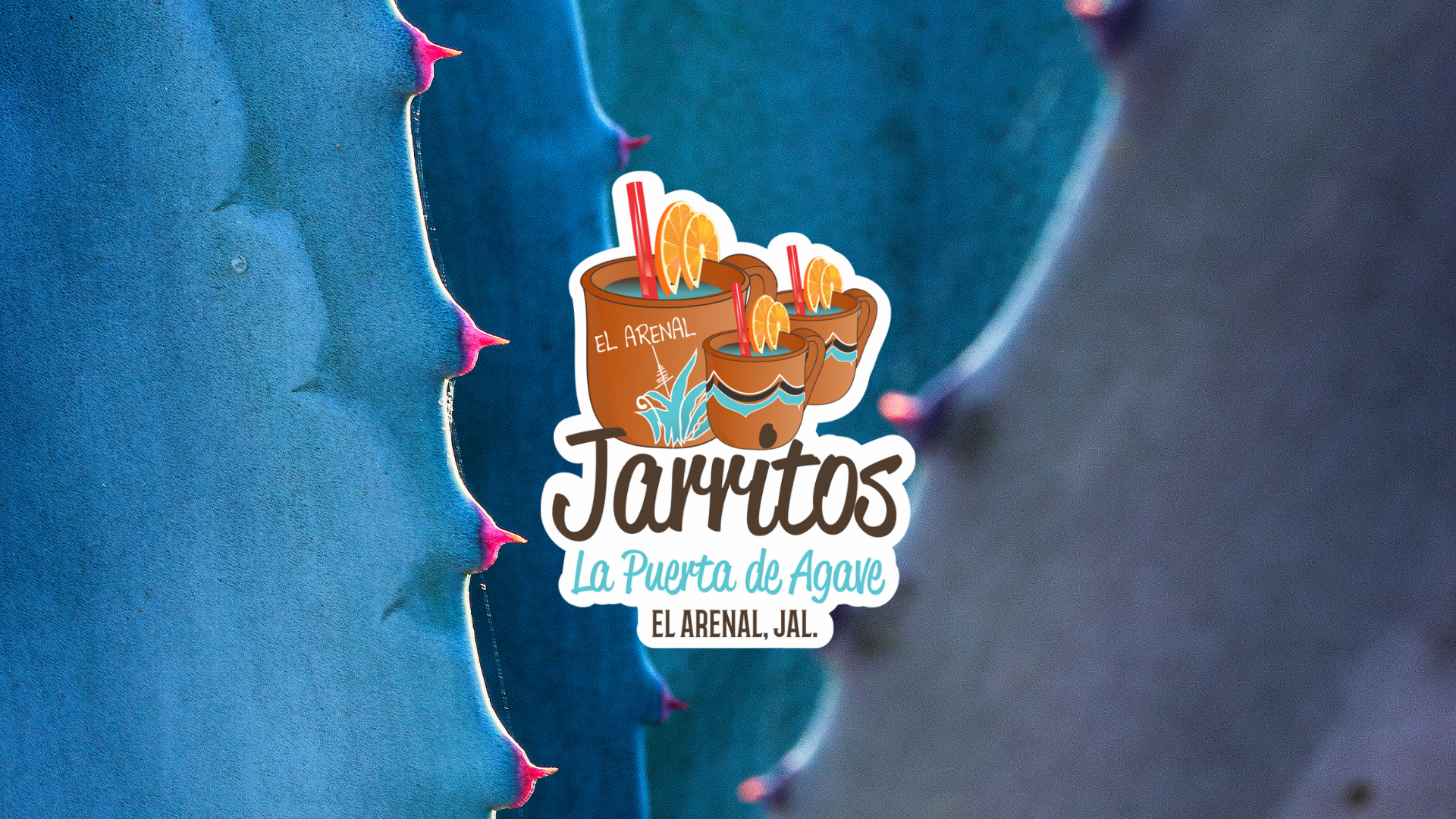 Jarritos La Puerta Del Agave image 4