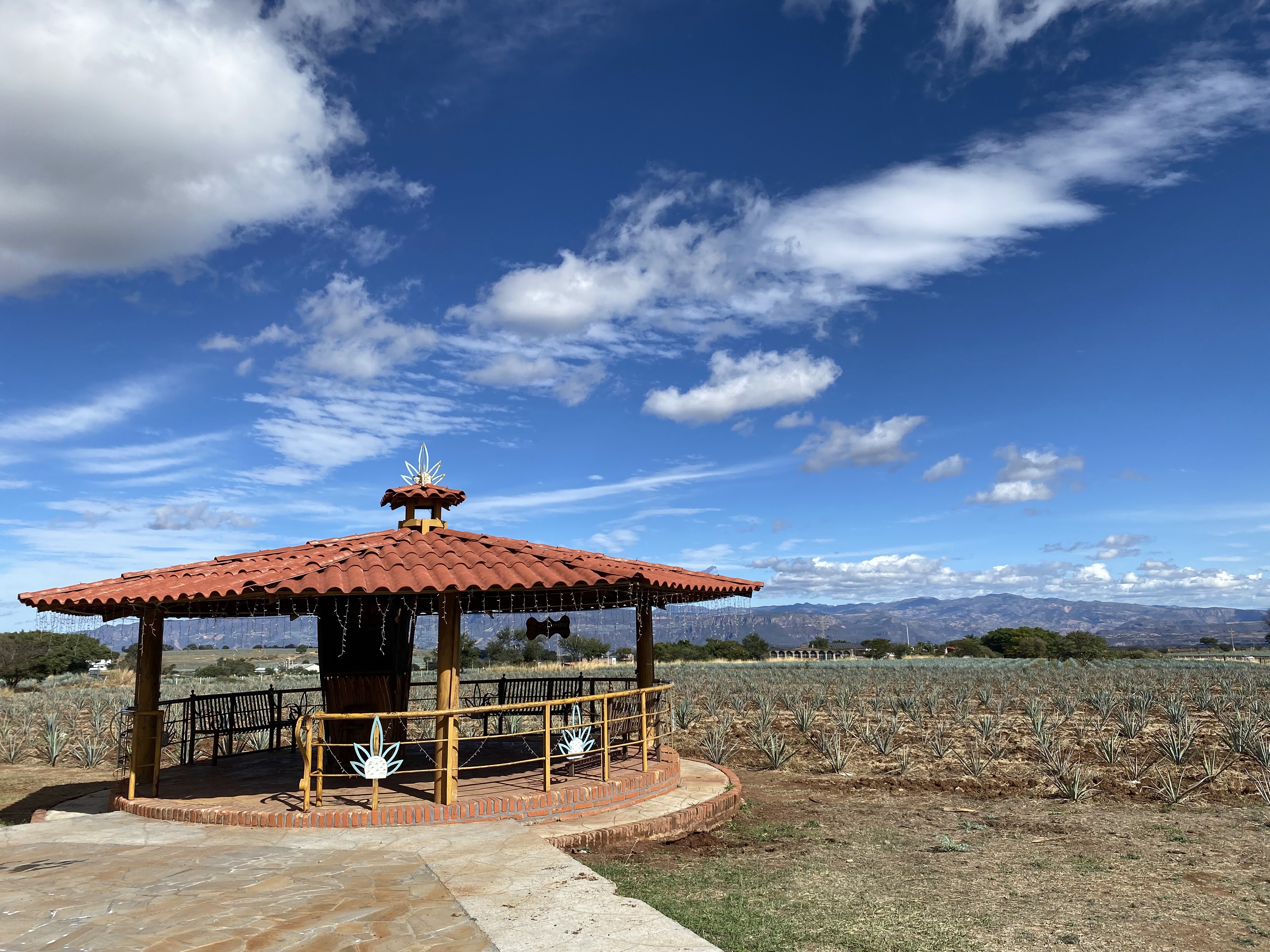 Jarritos La Puerta Del Agave image 6