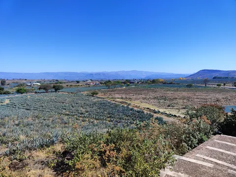 Jarritos La Puerta Del Agave image 7