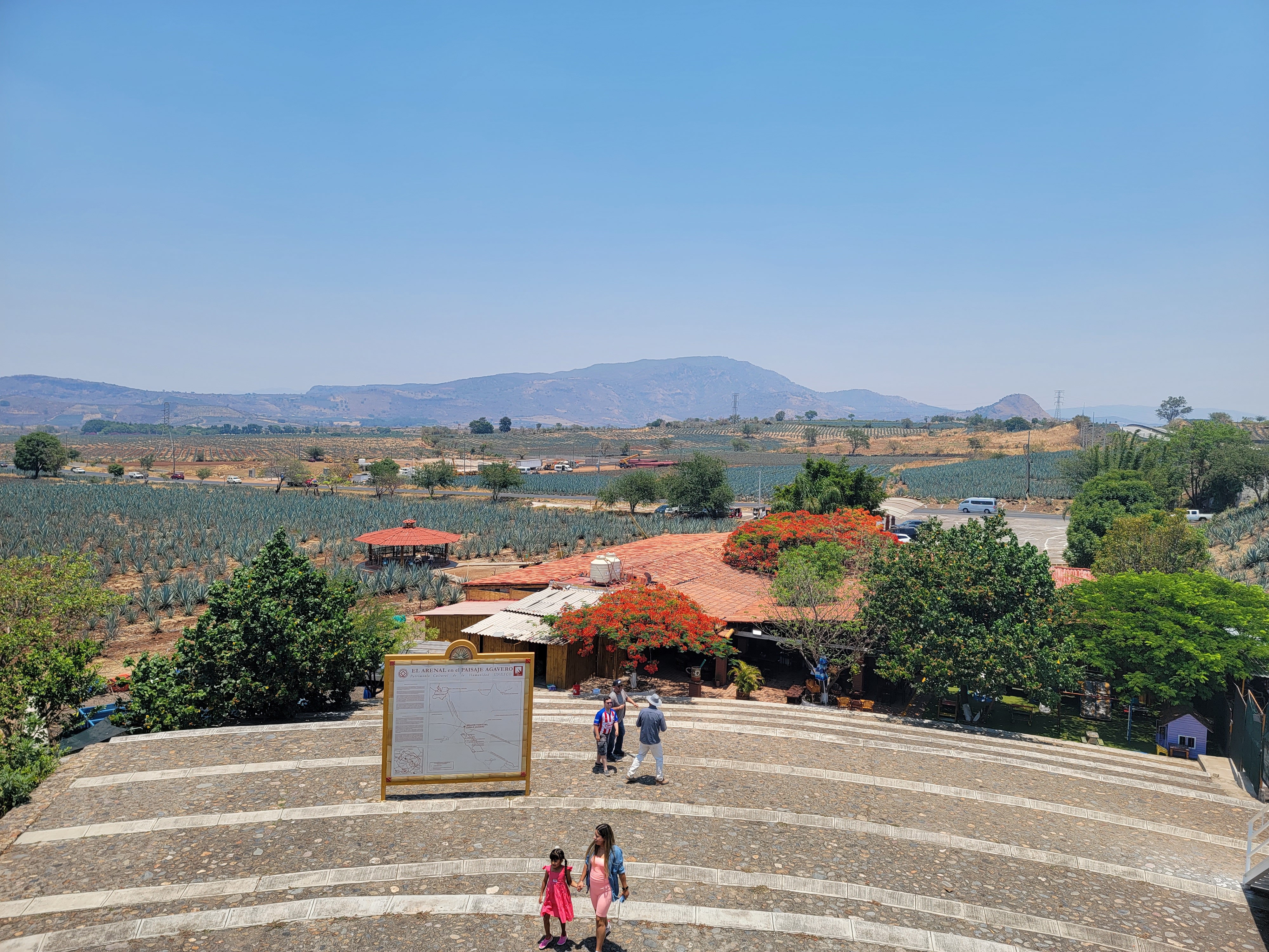 Jarritos La Puerta Del Agave image 10