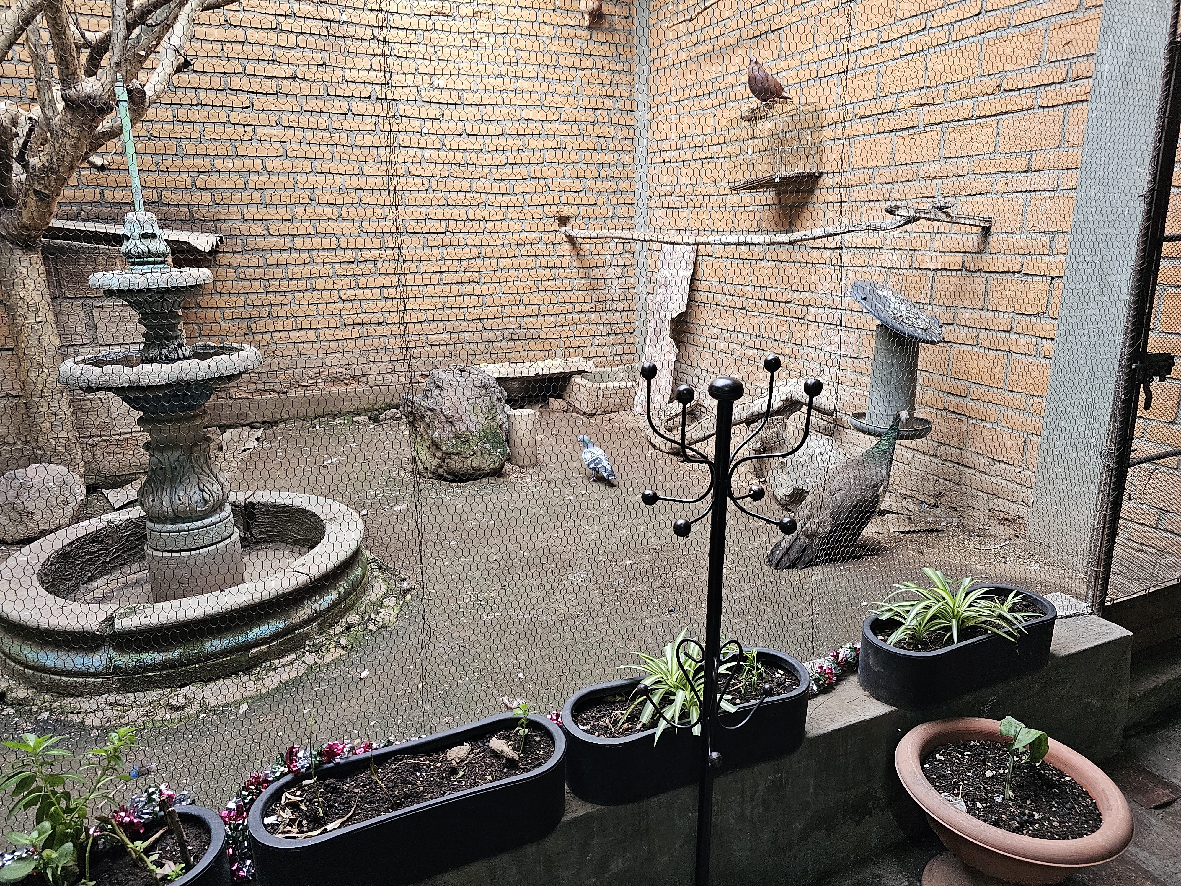 Carnes Asadas La Higuera image 5