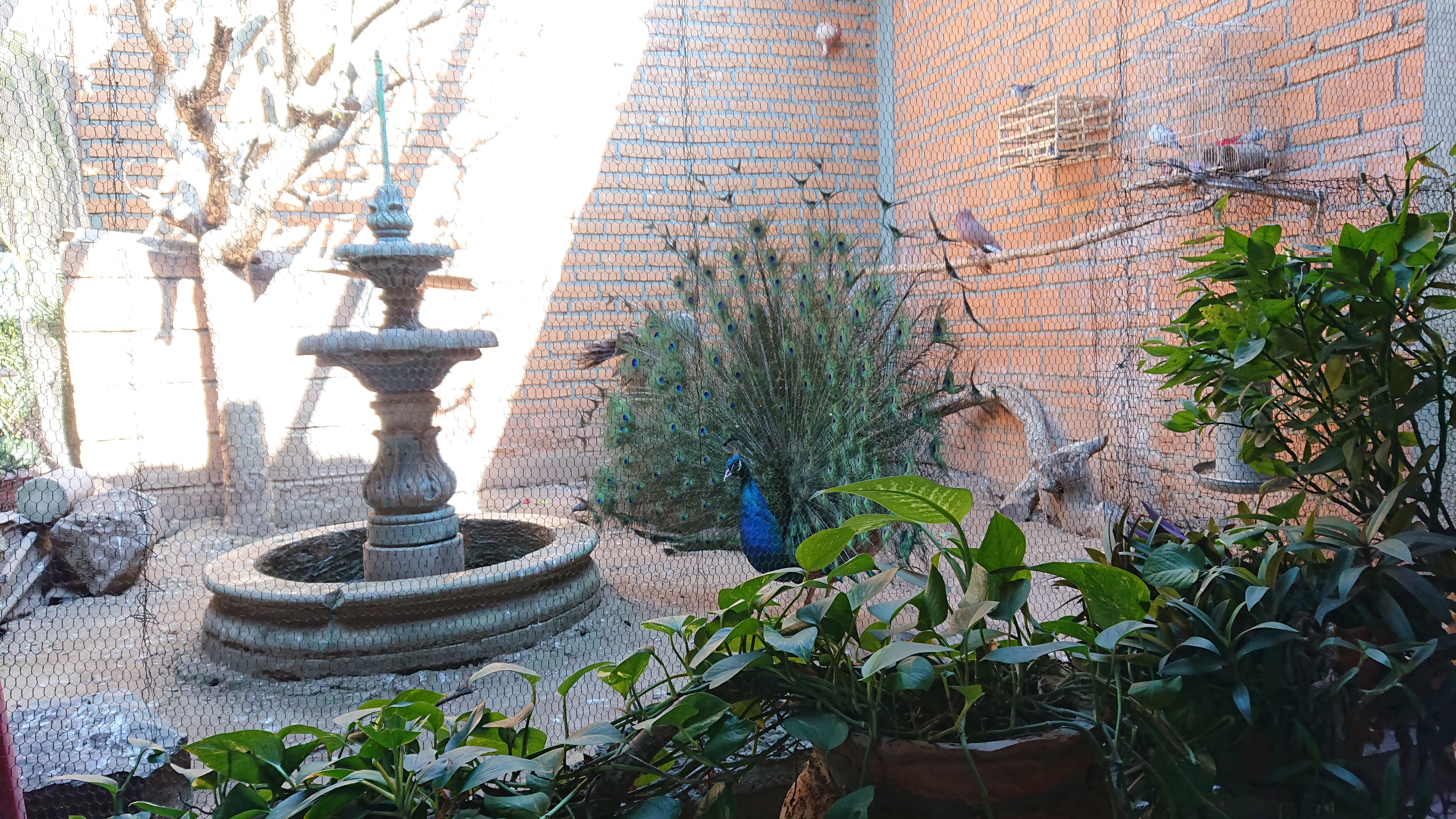 Carnes Asadas La Higuera image 9