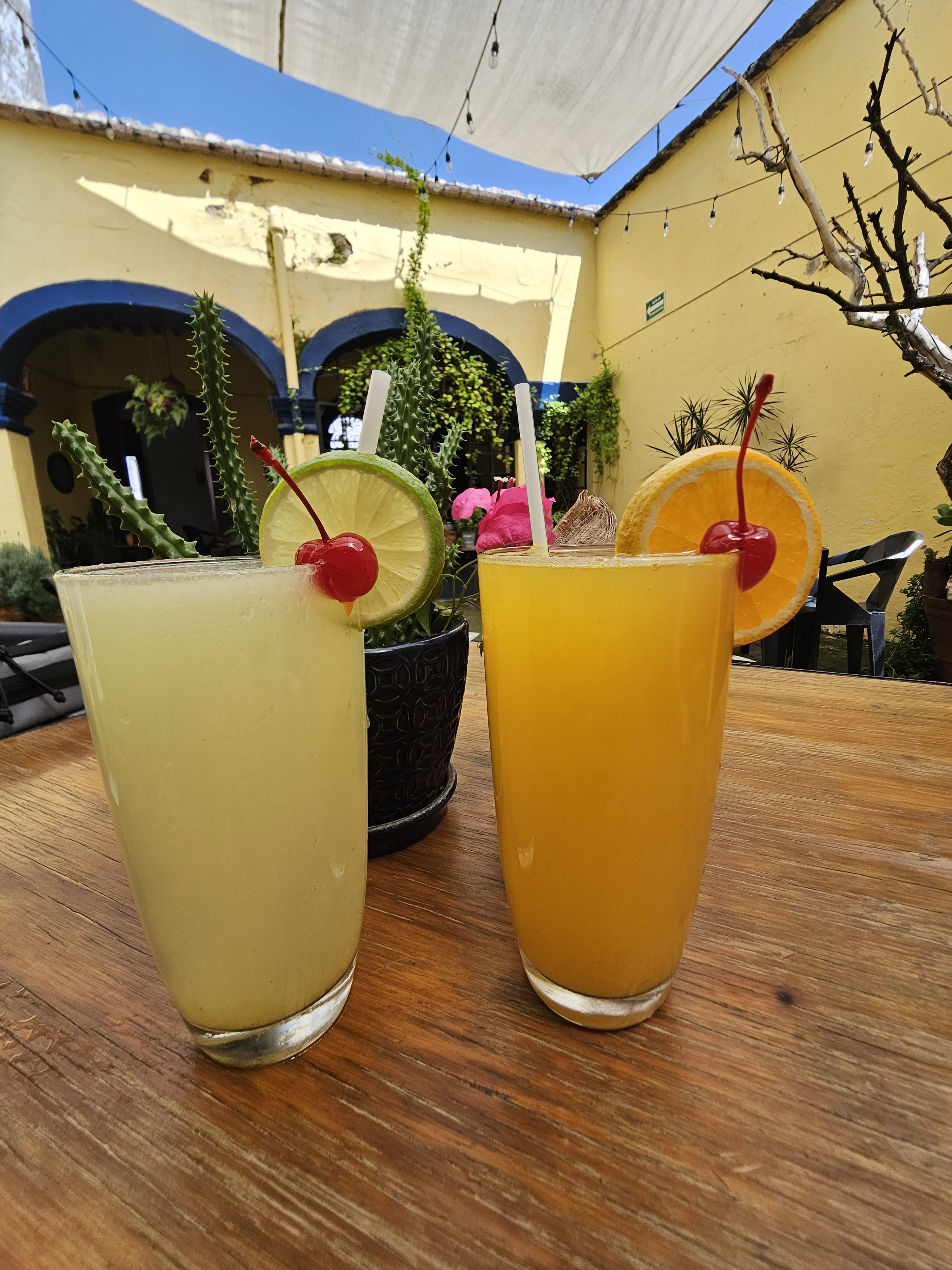 Cucajulia Cocina image 3