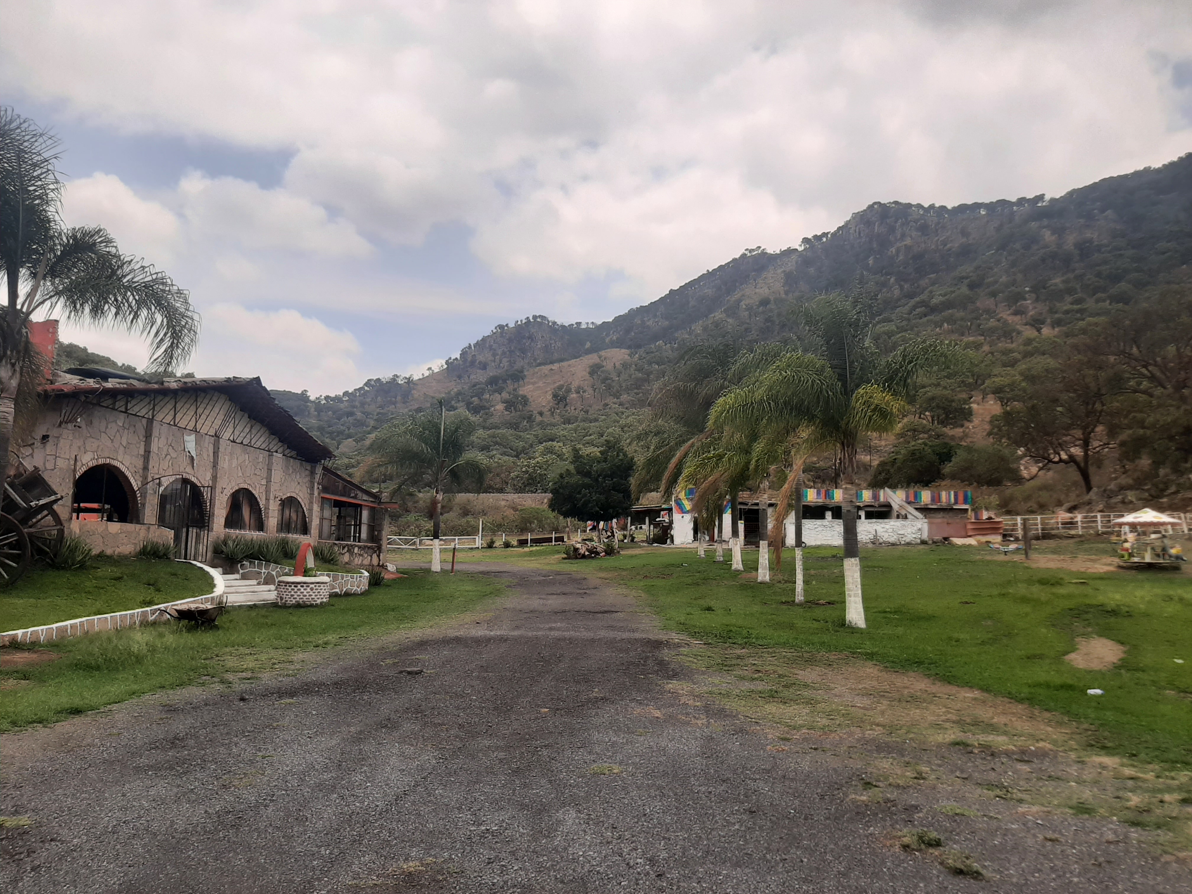 CARNES ASADAS DE LA TORRE La Curva image 7