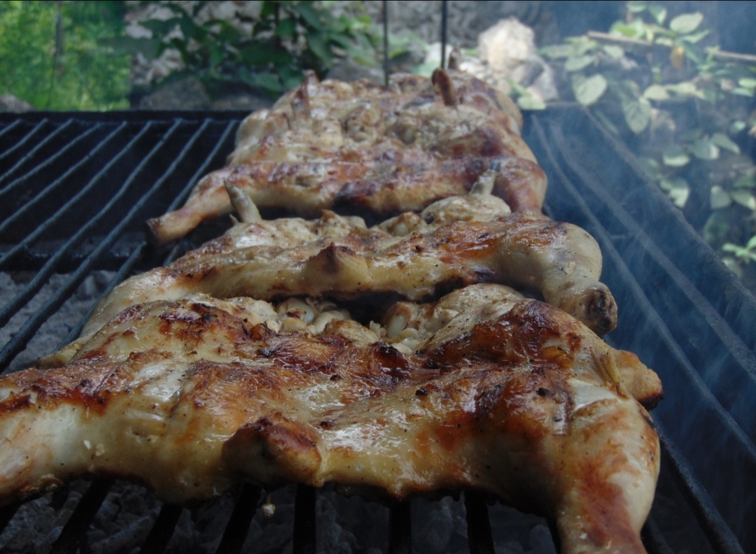 Asasero el Gallo de Tekom image 1