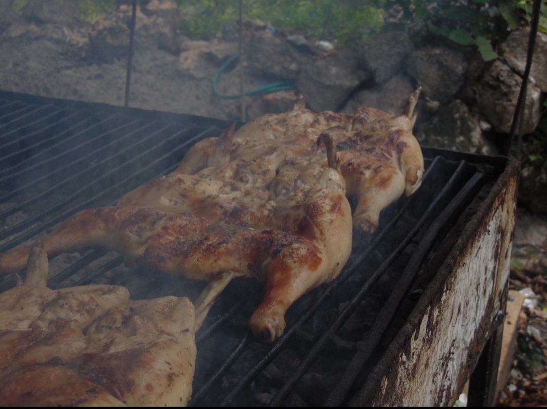 Asasero el Gallo de Tekom image 4