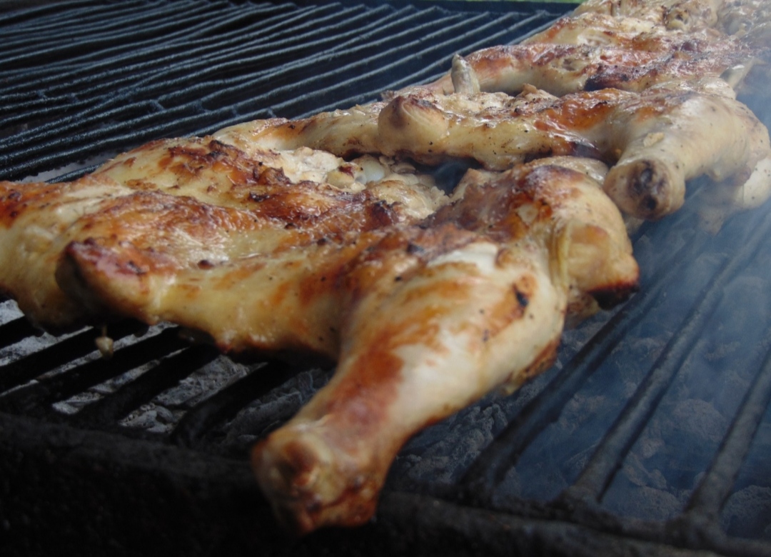 Asasero el Gallo de Tekom image 5