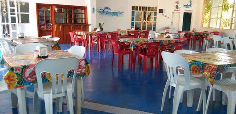 MARISCOS ALVARADO image 1
