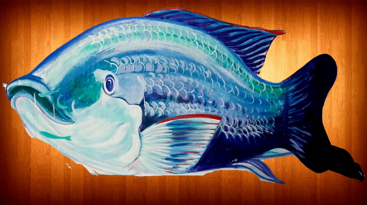 MARISCOS ALVARADO image 7