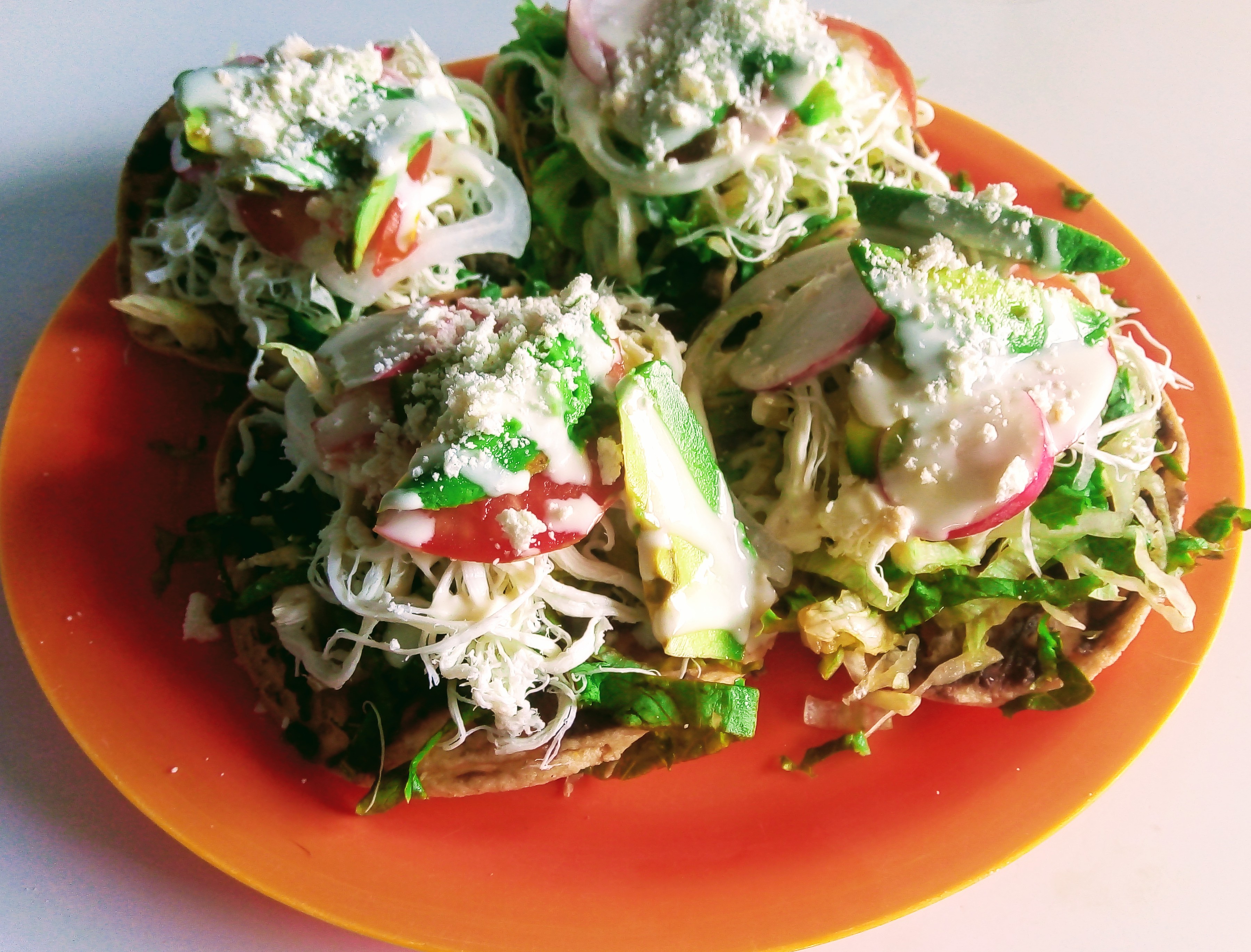 El Buen Pastor image 5