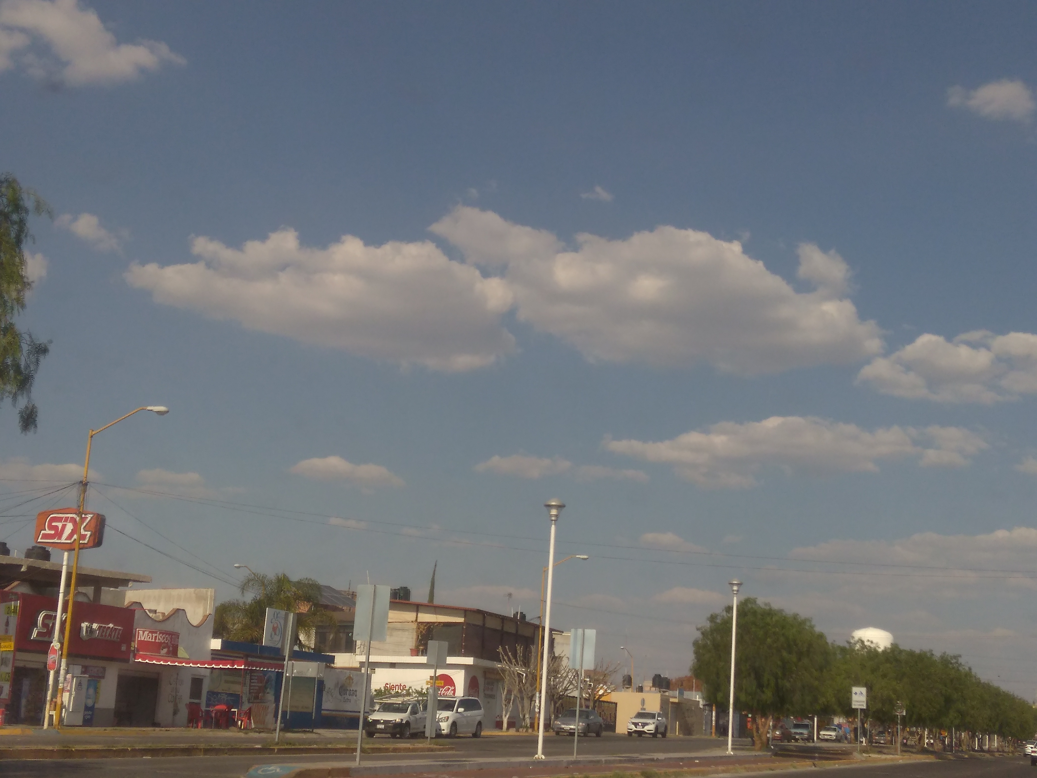 LAS BRASAS Parrilla de Barrio image 9