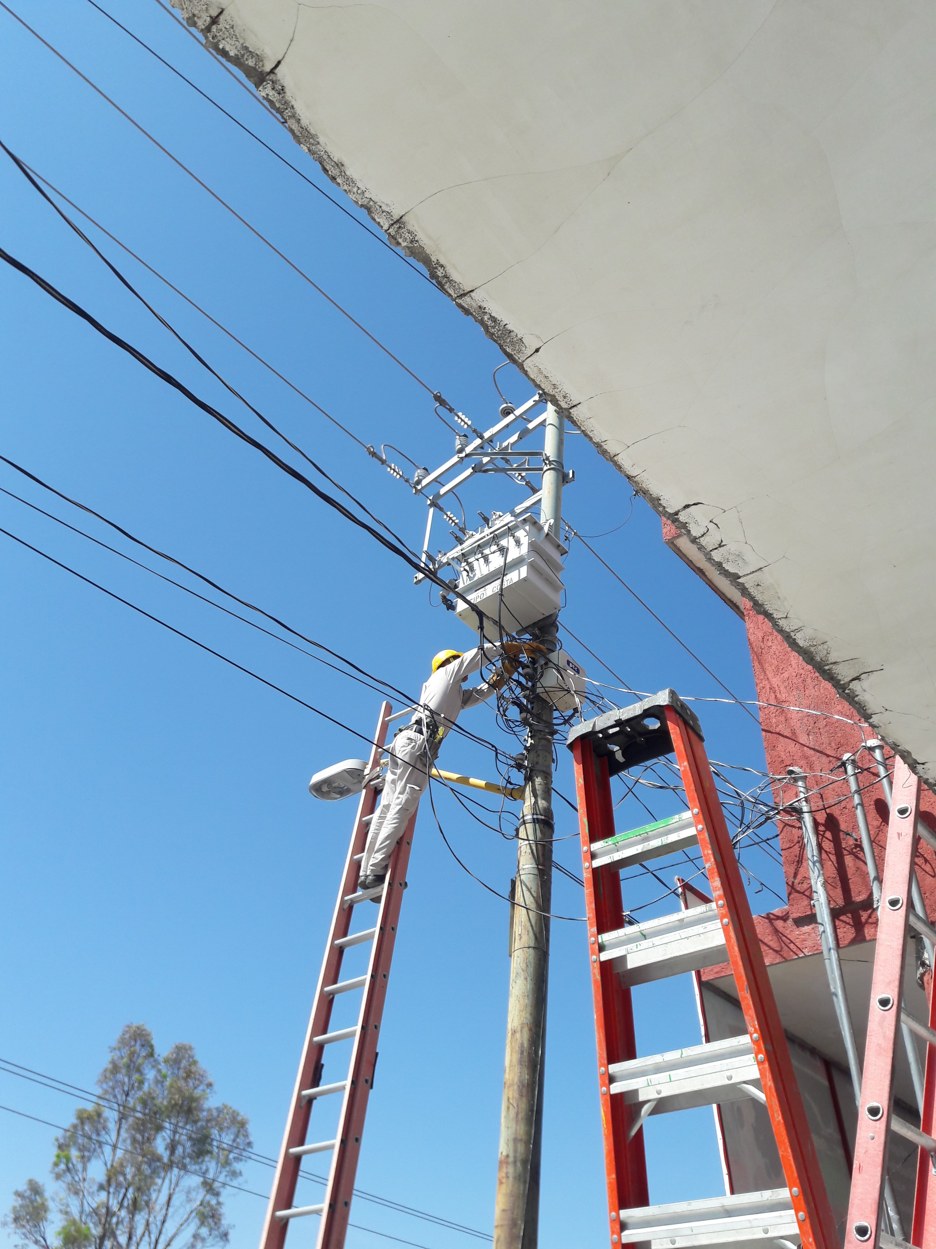 Barbacoa y birria El gran chava image 8