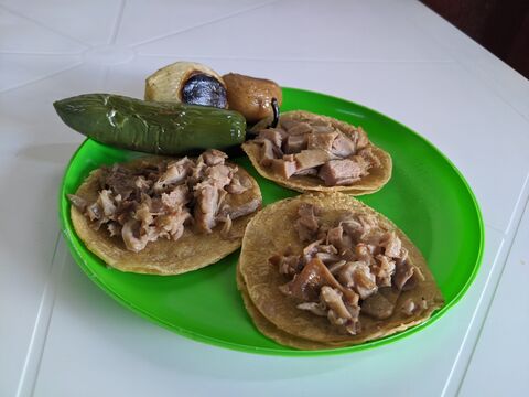 Holdbear taqueria image 6