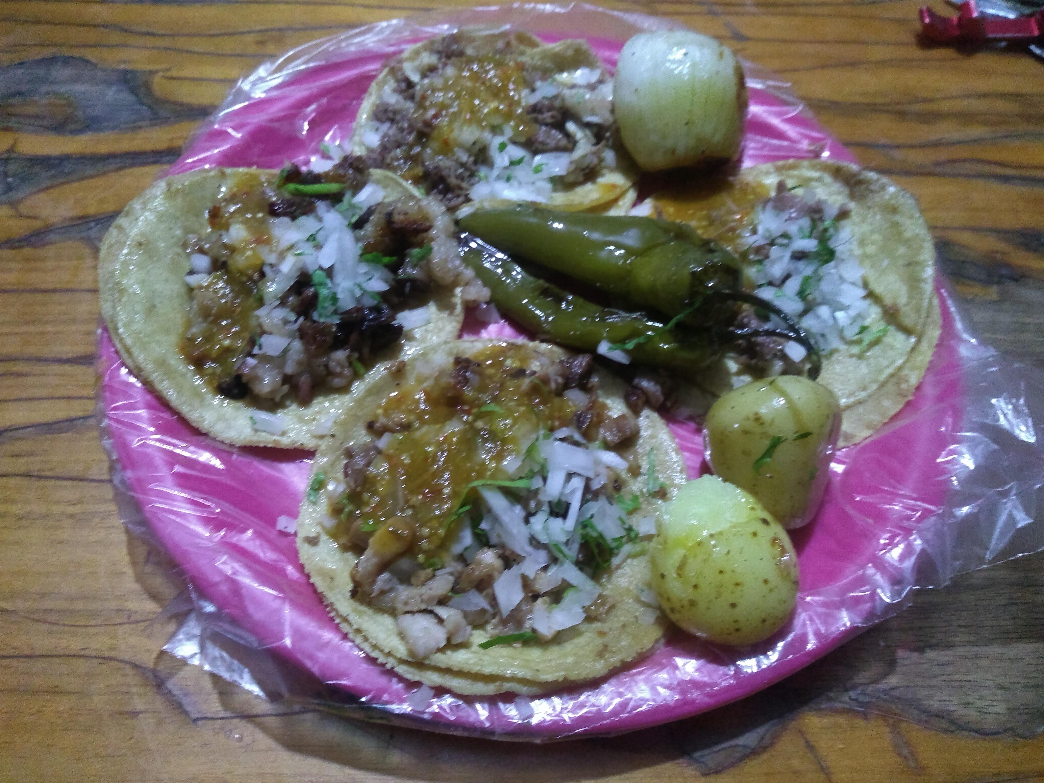 Holdbear taqueria image 9