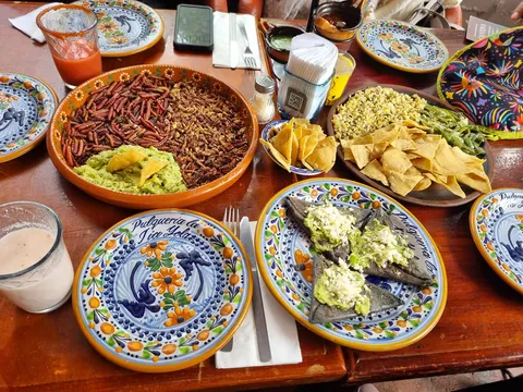 Casa de los Magueyes image 2