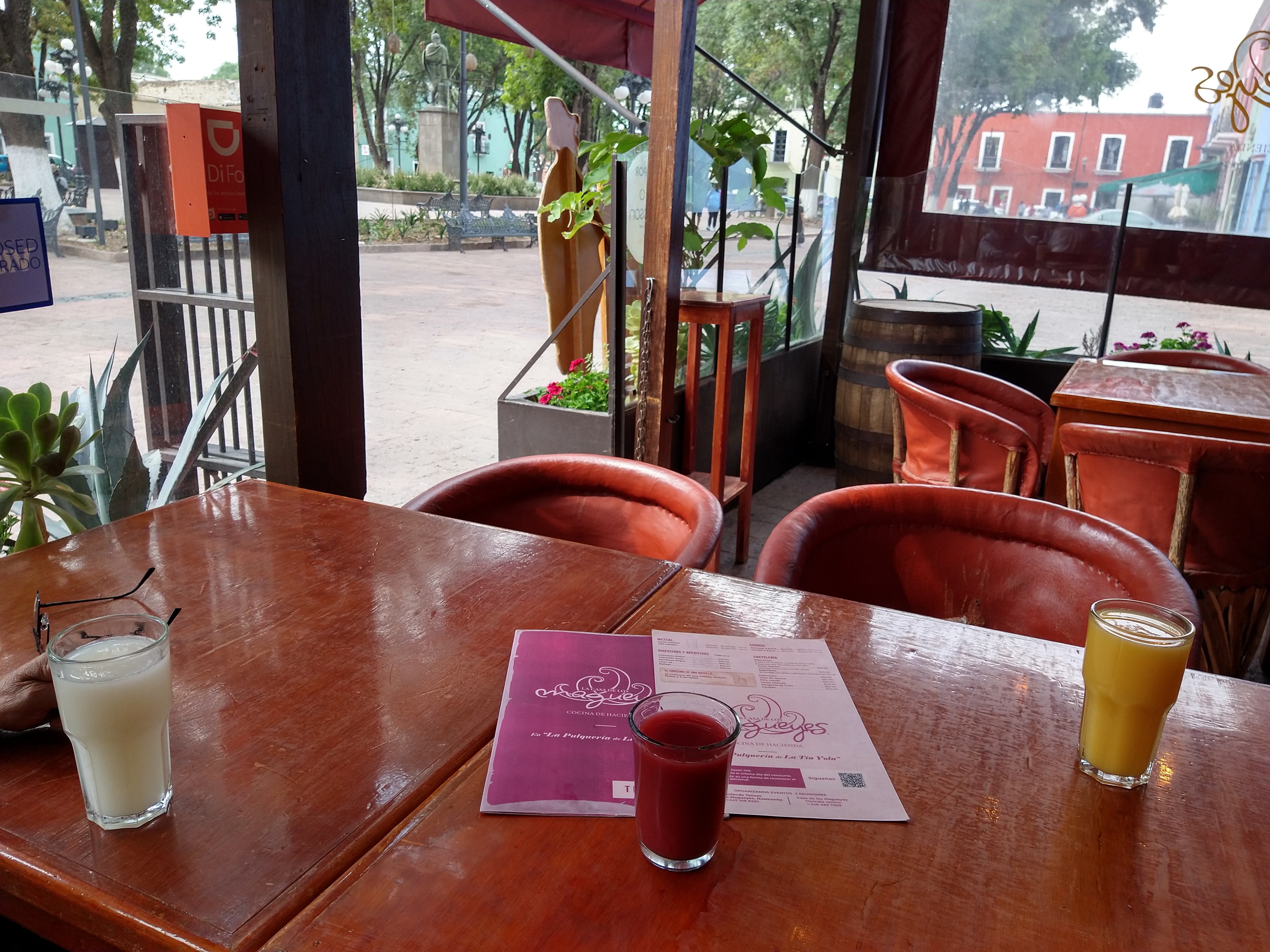 Casa de los Magueyes image 6