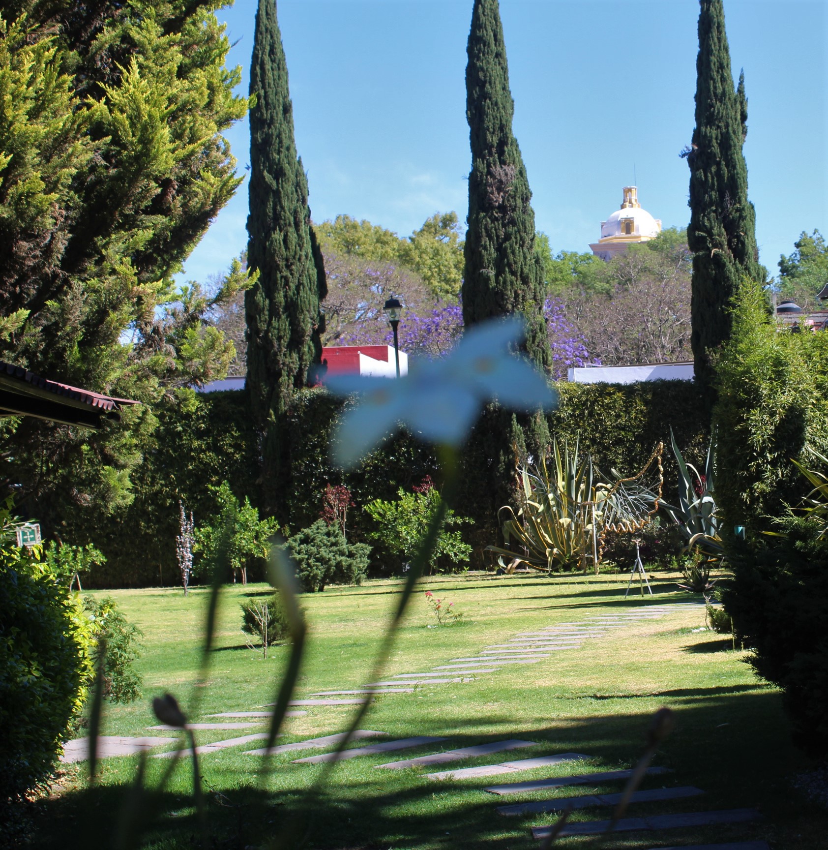 El Asador Del Vecino image 4