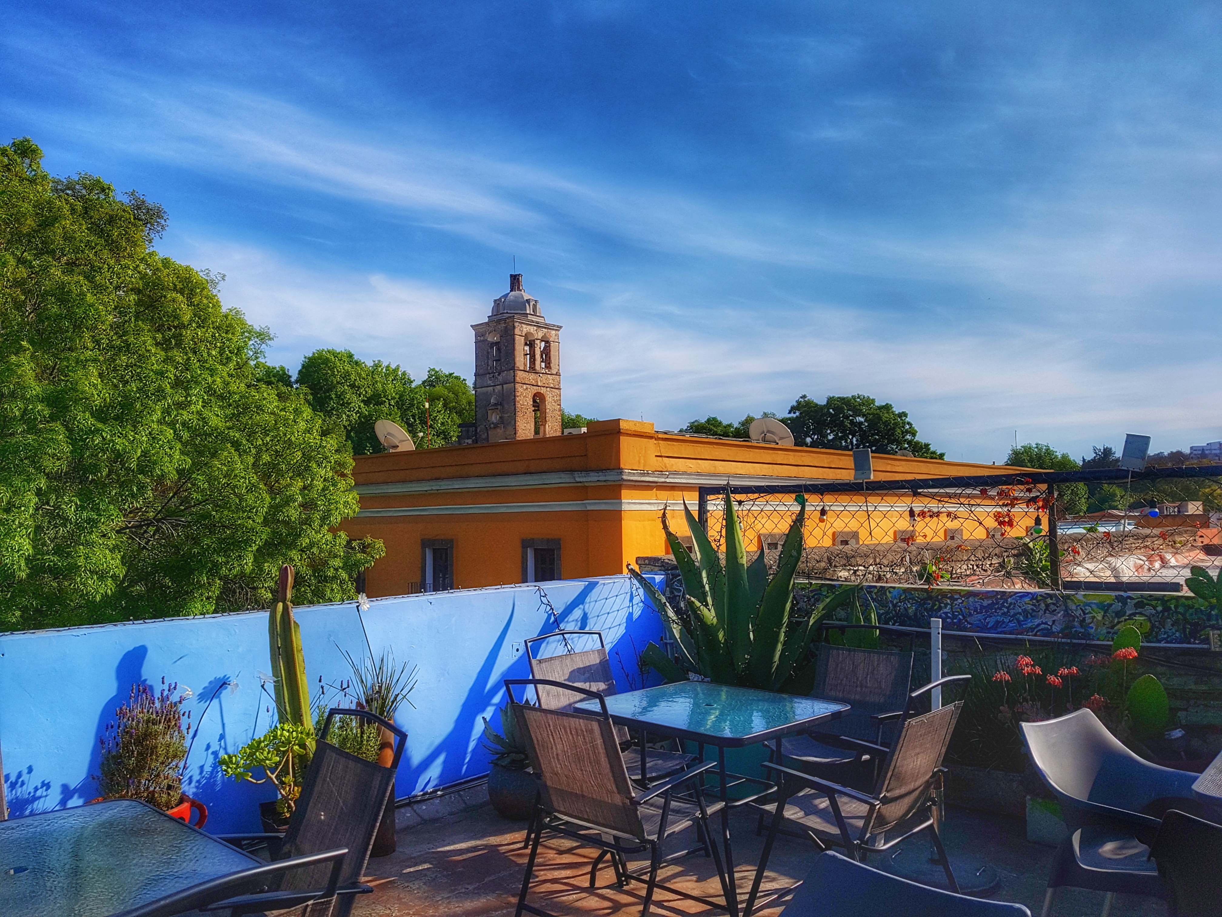 Meztli Terraza Verde image 5