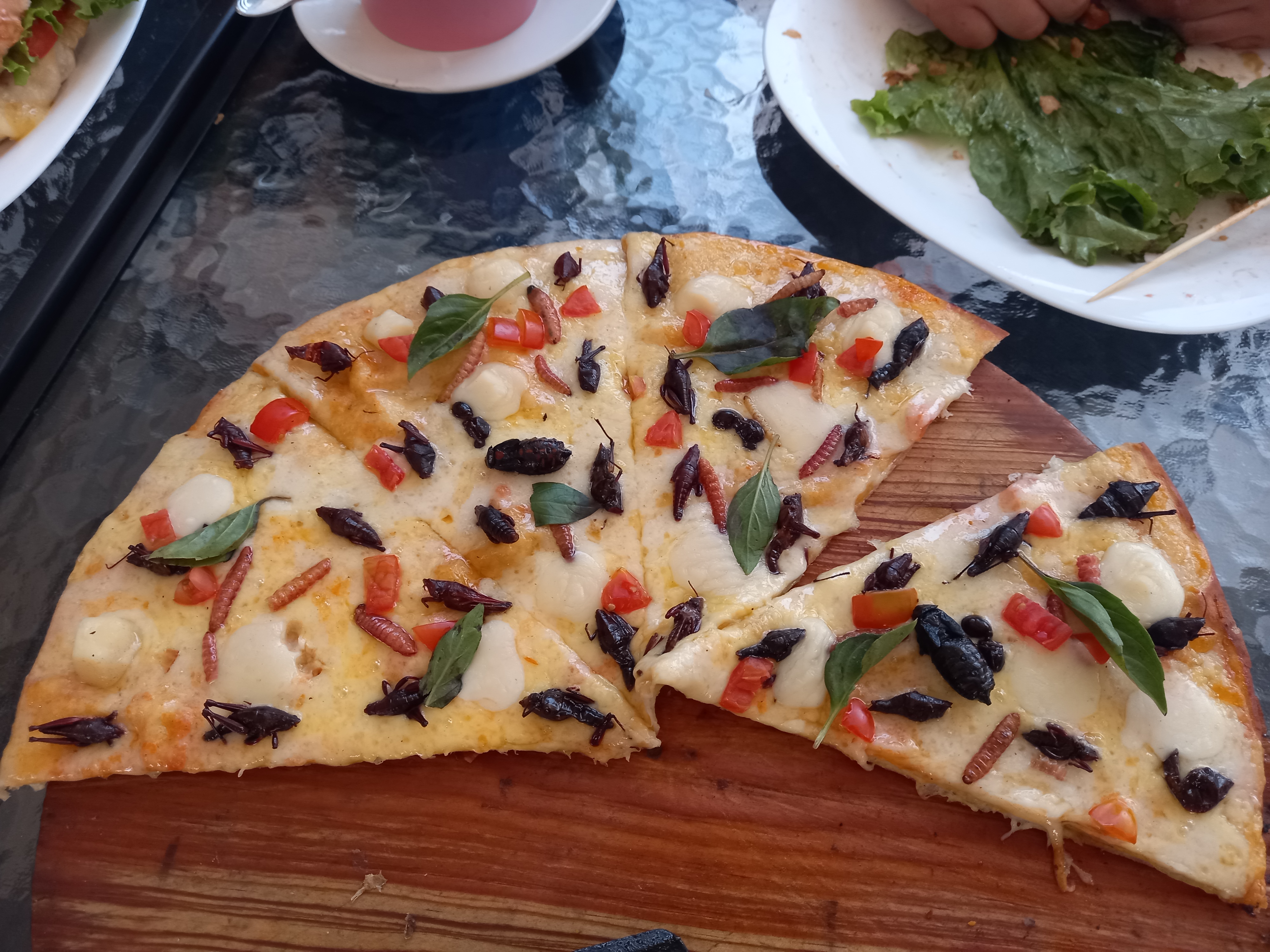 Meztli Terraza Verde image 7