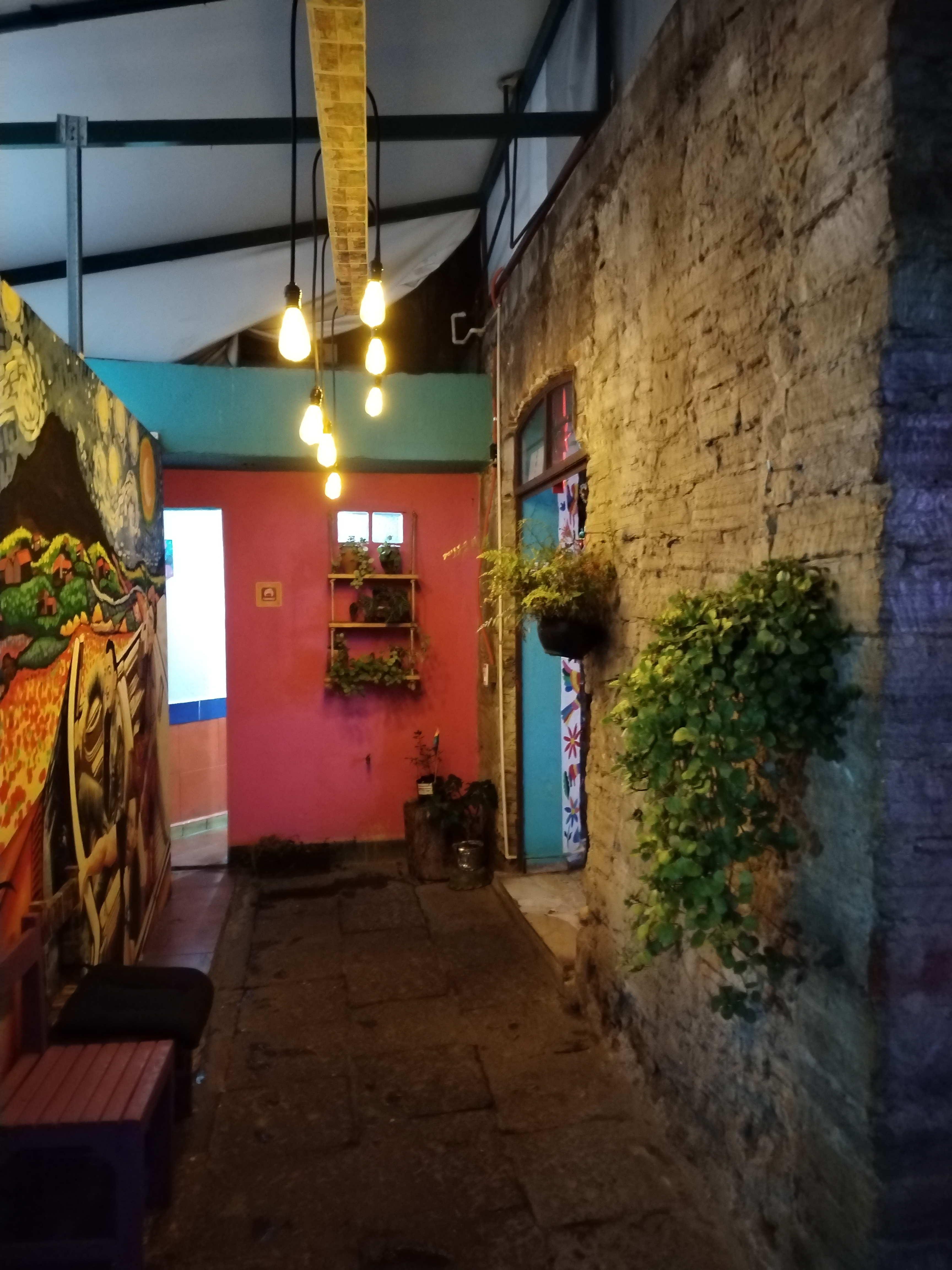 Viva la Frida Tlax. image 4