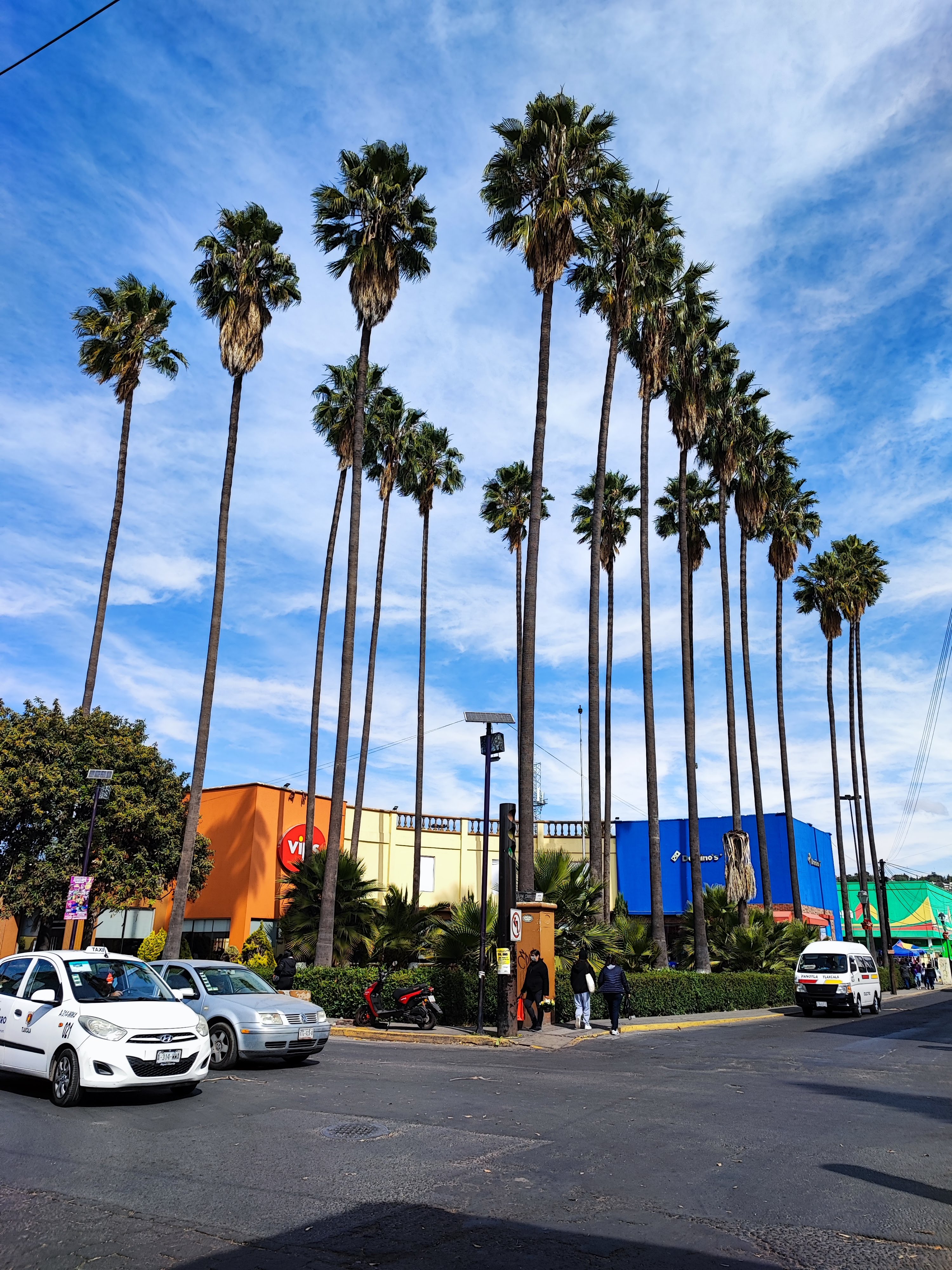 Vips Tlaxcala image 7