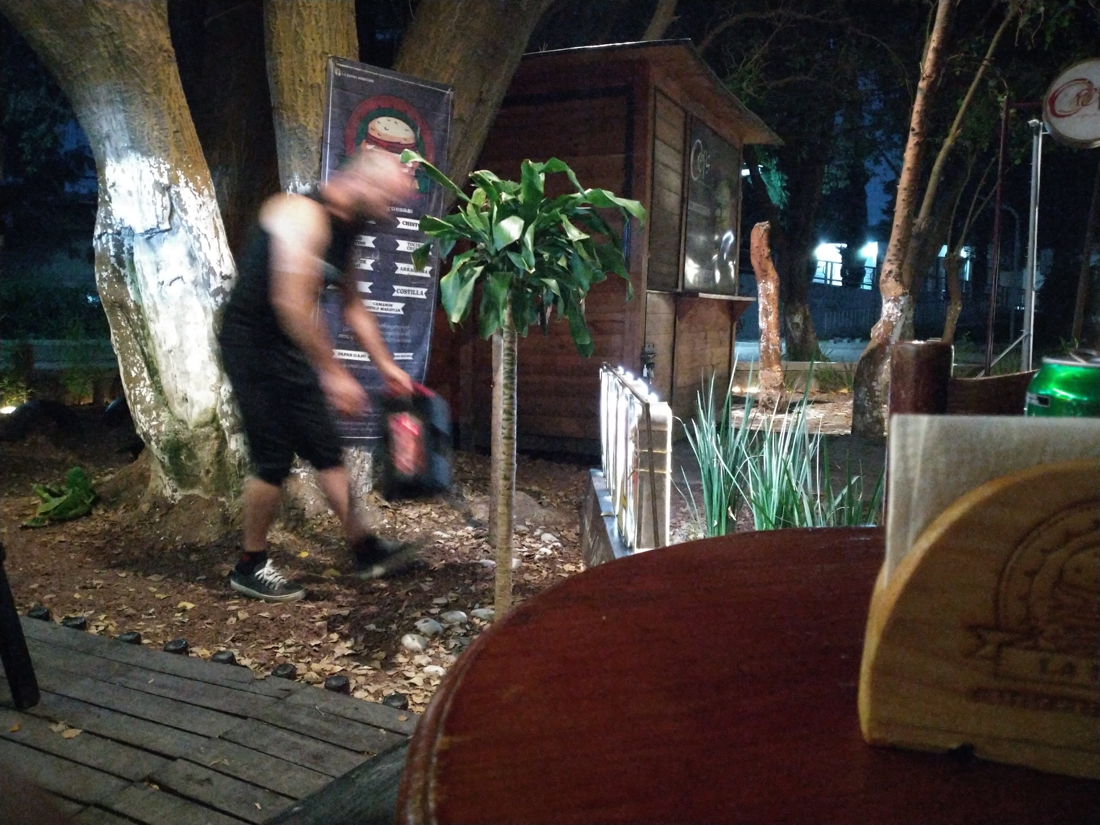 Hamburguesas la Fauna image 4