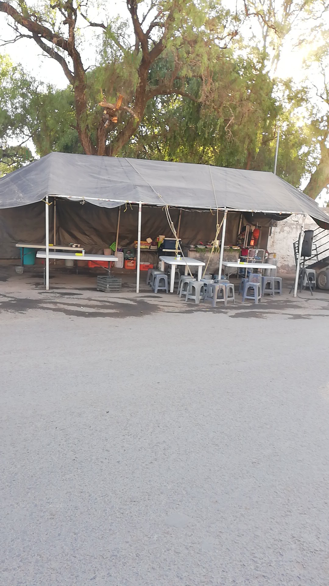 Tacos "La güera" image 3