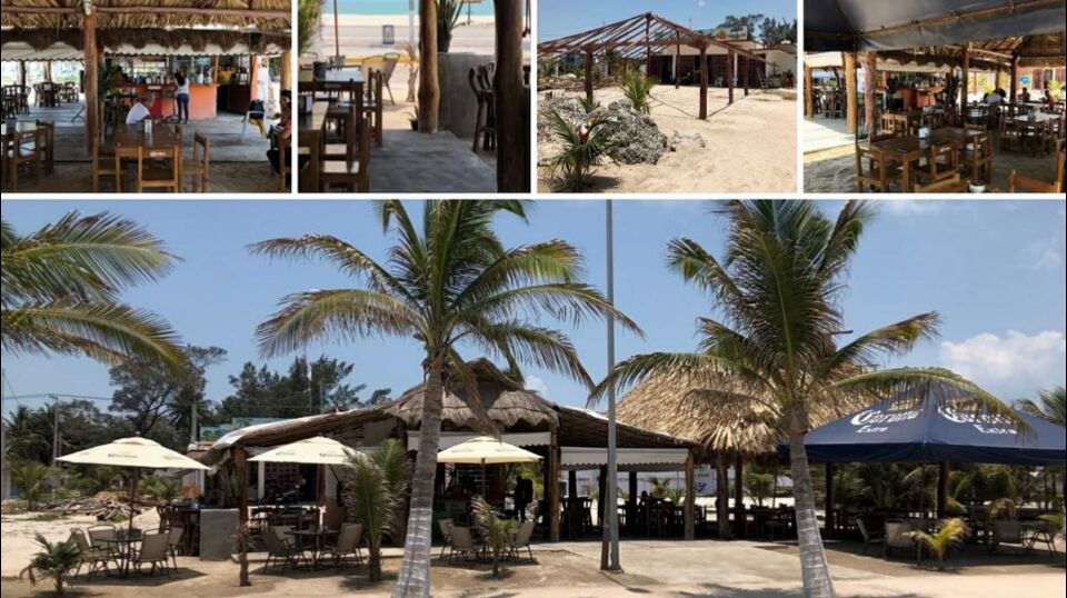 Iguanas Beach Restaurante Bar image 3