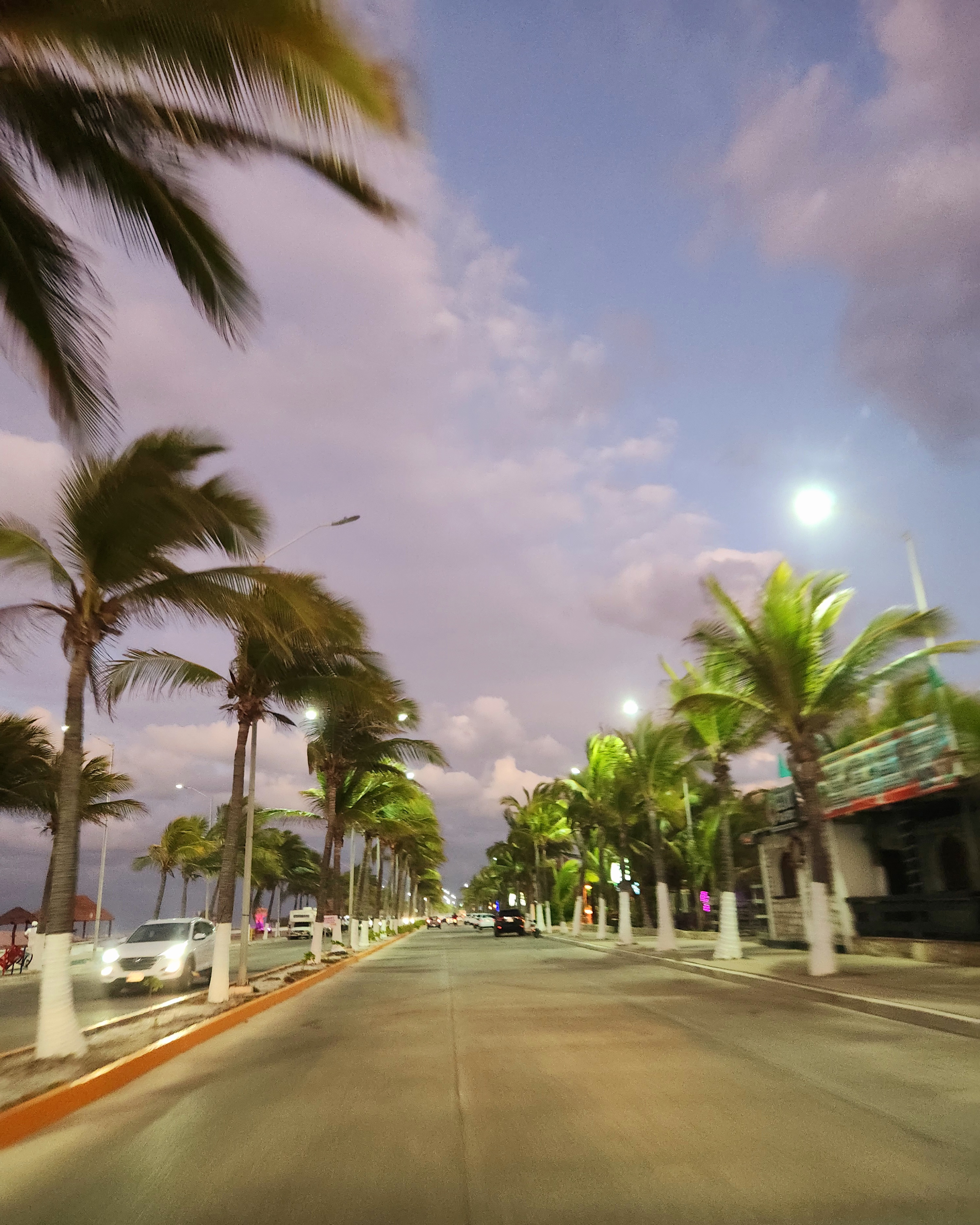 Iguanas Beach Restaurante Bar image 8