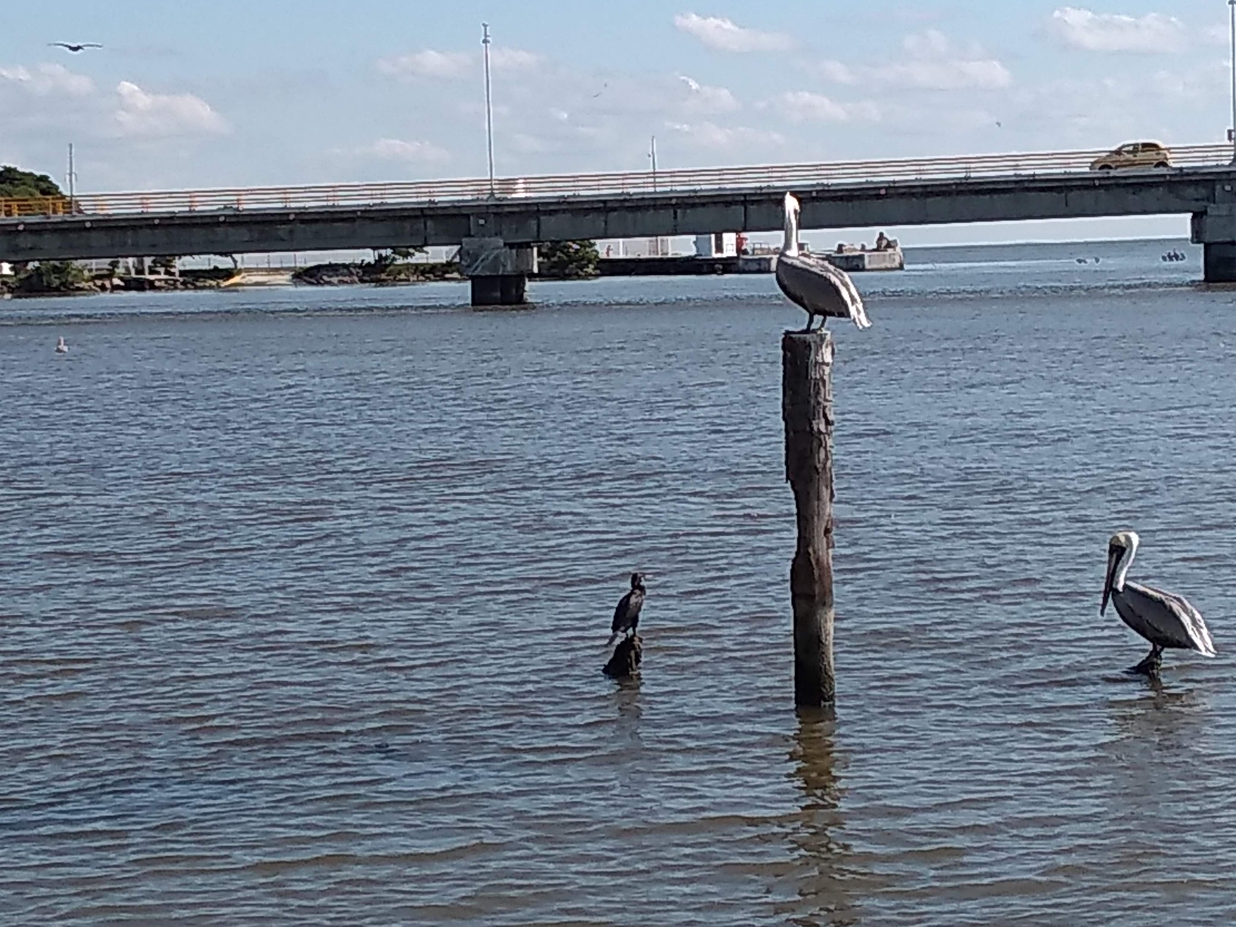 El Marino Restaurant image 7