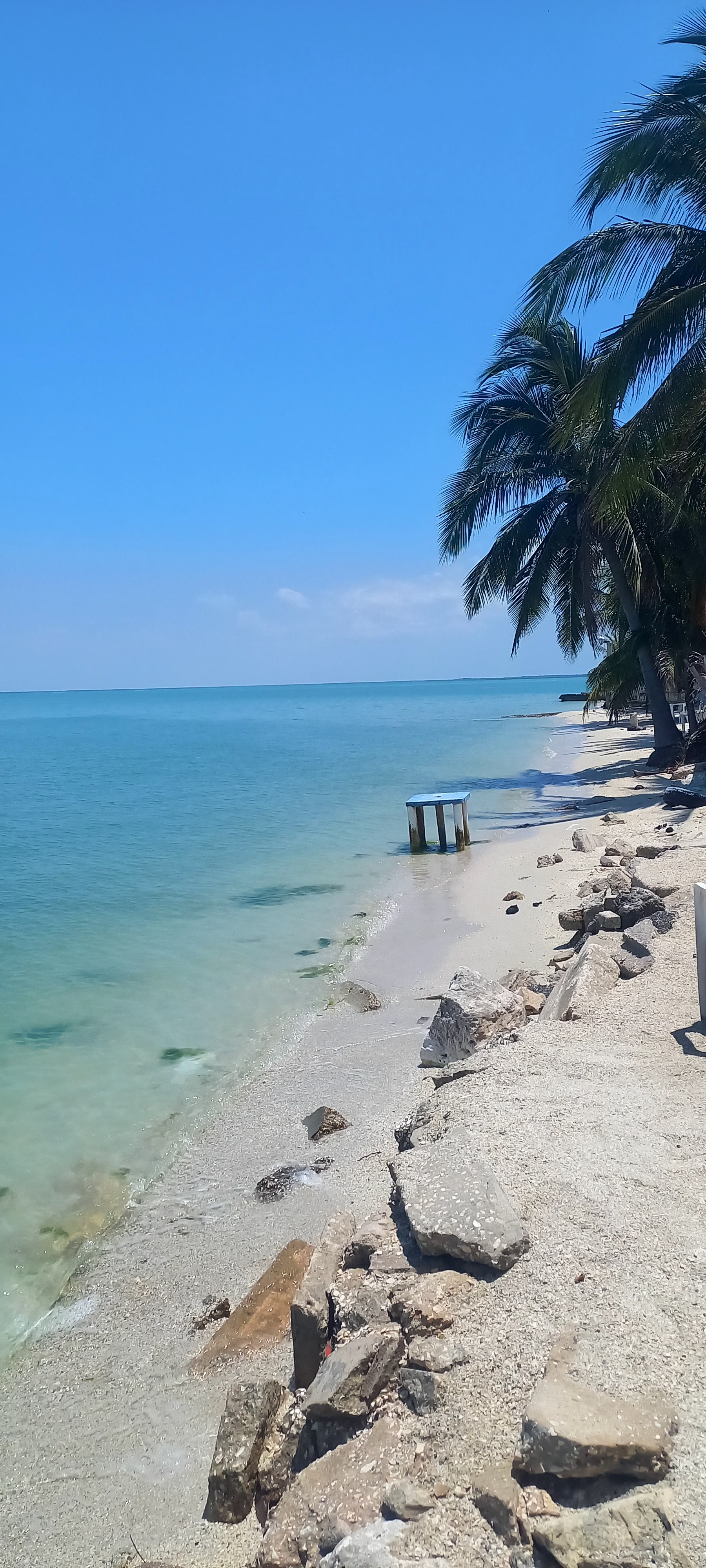 Restaurant Familiar La Hawaiana image 9