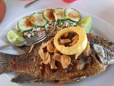 Restaurante Los Delfines image 2