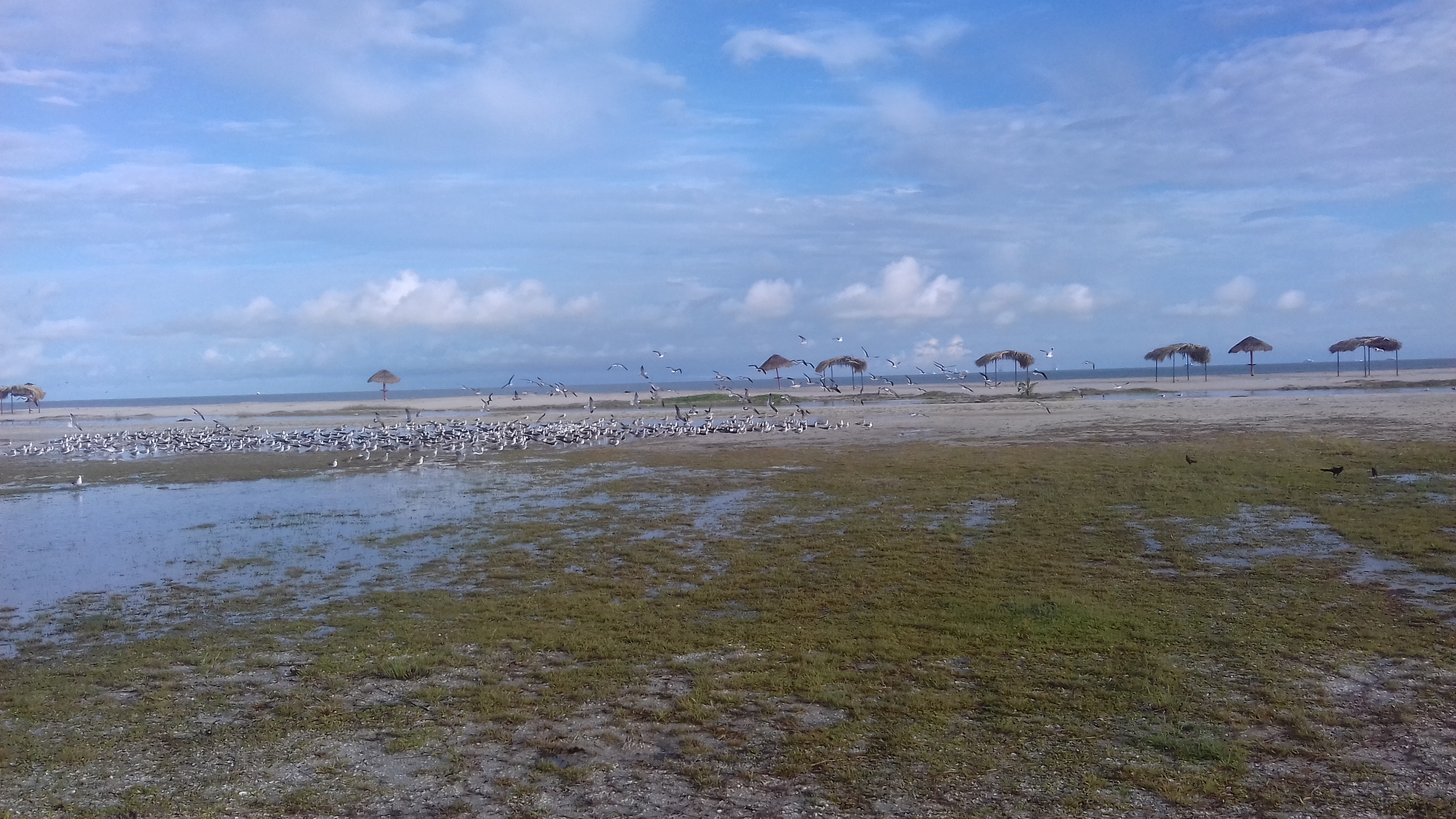 Restaurante Los Delfines image 10