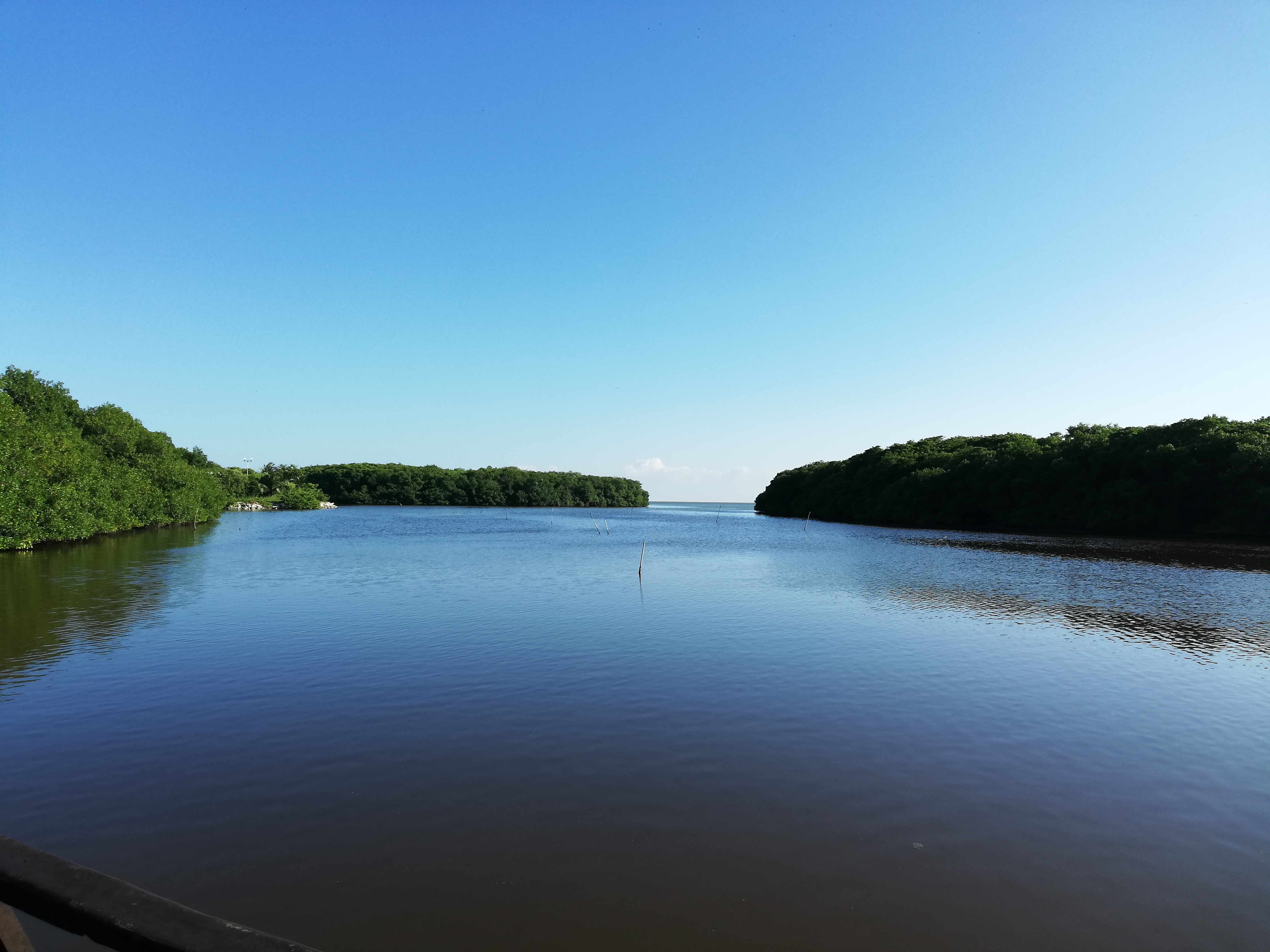 Restaurante El Ancla image 8