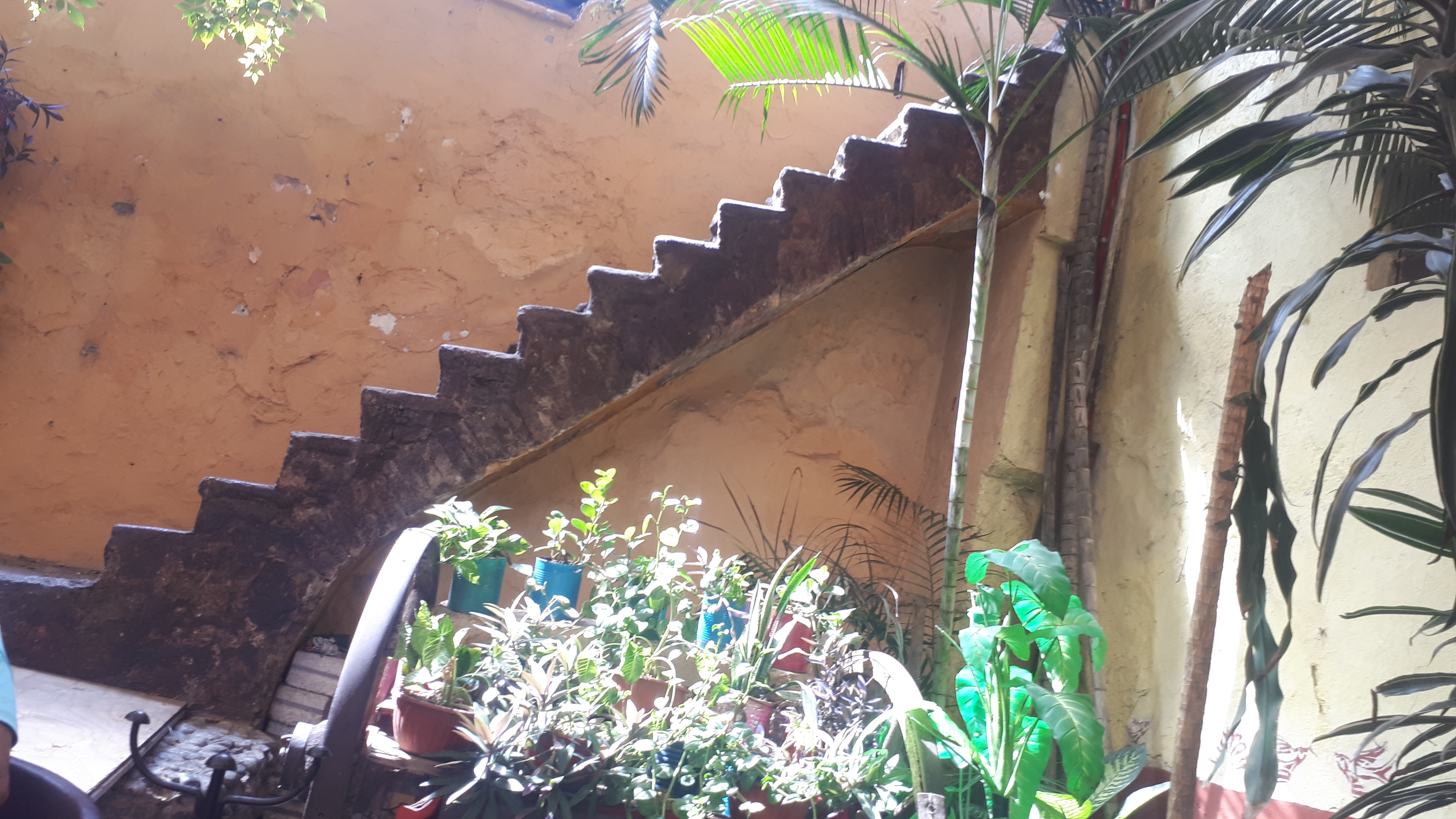 Plaza Las Golondrinas image 4