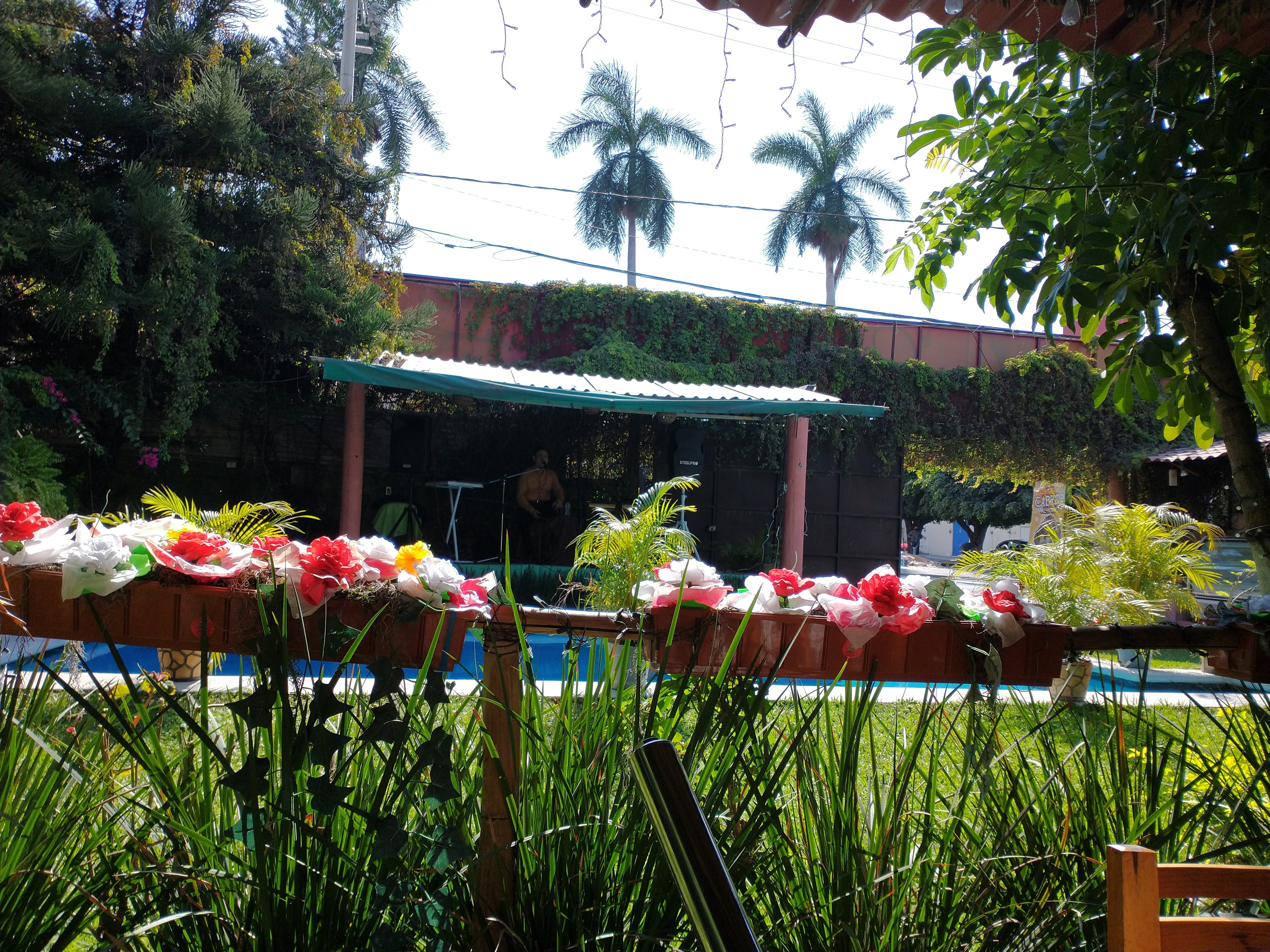 Casablanca Garden image 5