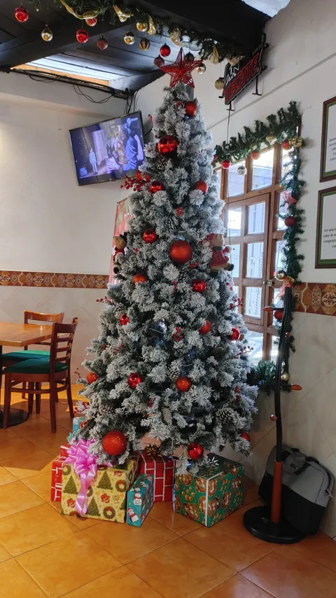 Jaramato's Pizza Temascaltepec image 8