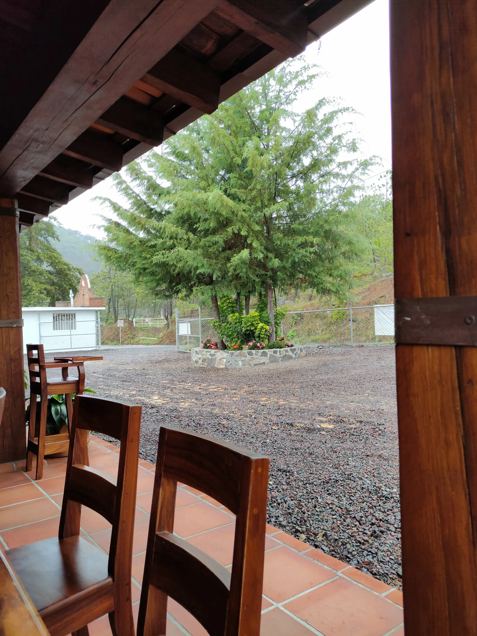 CAMPO AMOR REST image 1