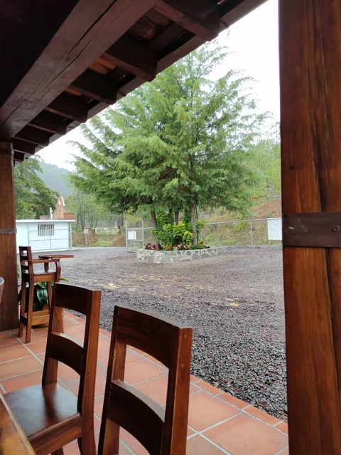CAMPO AMOR REST image 1