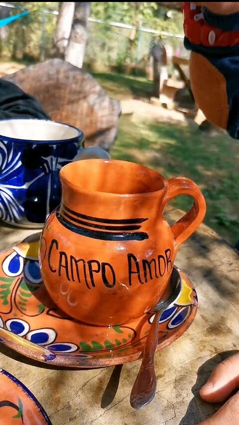 CAMPO AMOR REST image 2