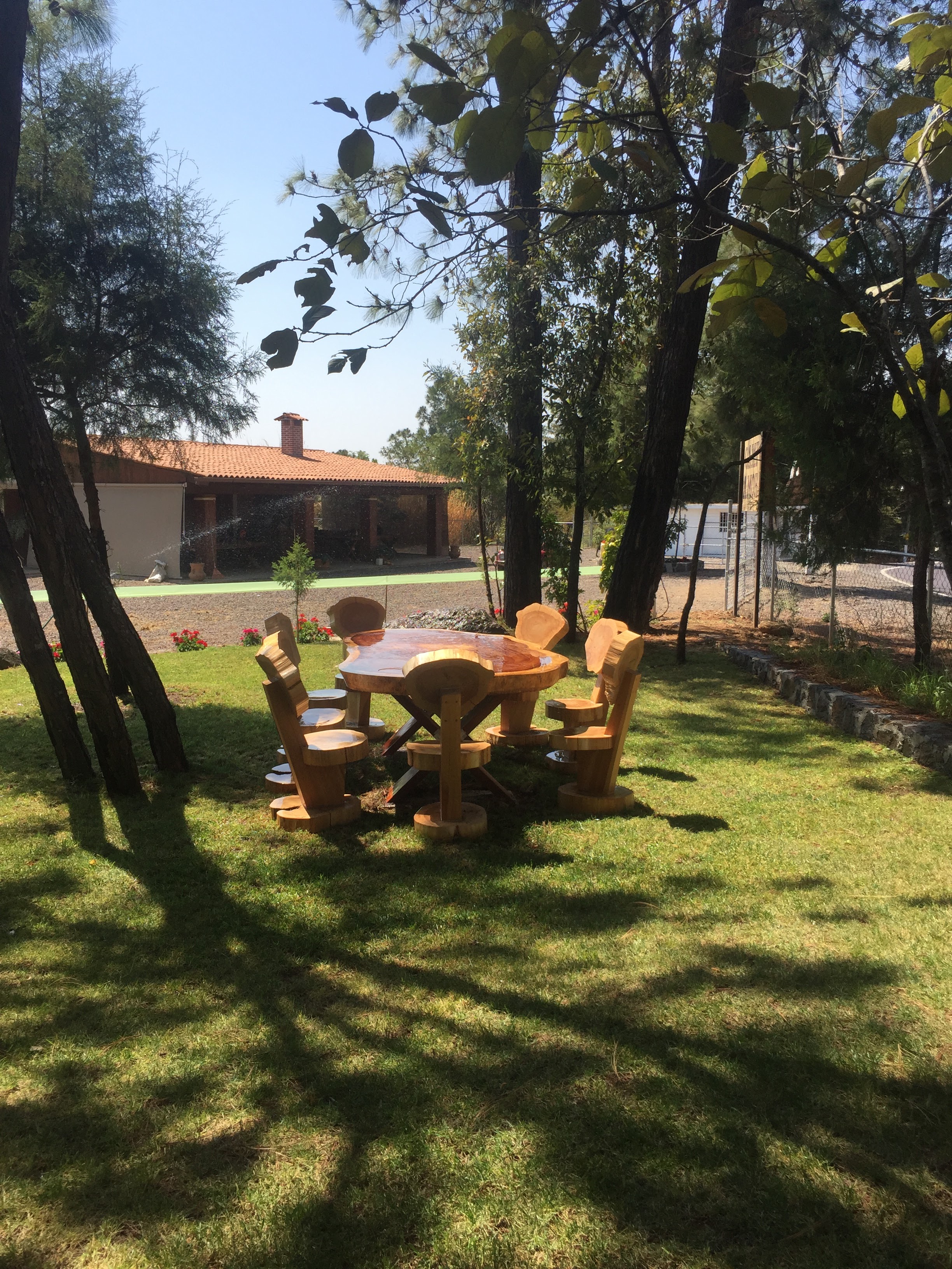 CAMPO AMOR REST image 3