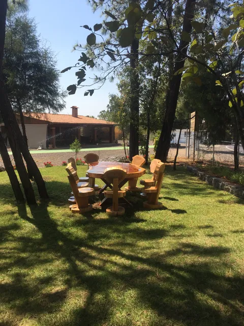 CAMPO AMOR REST image 3