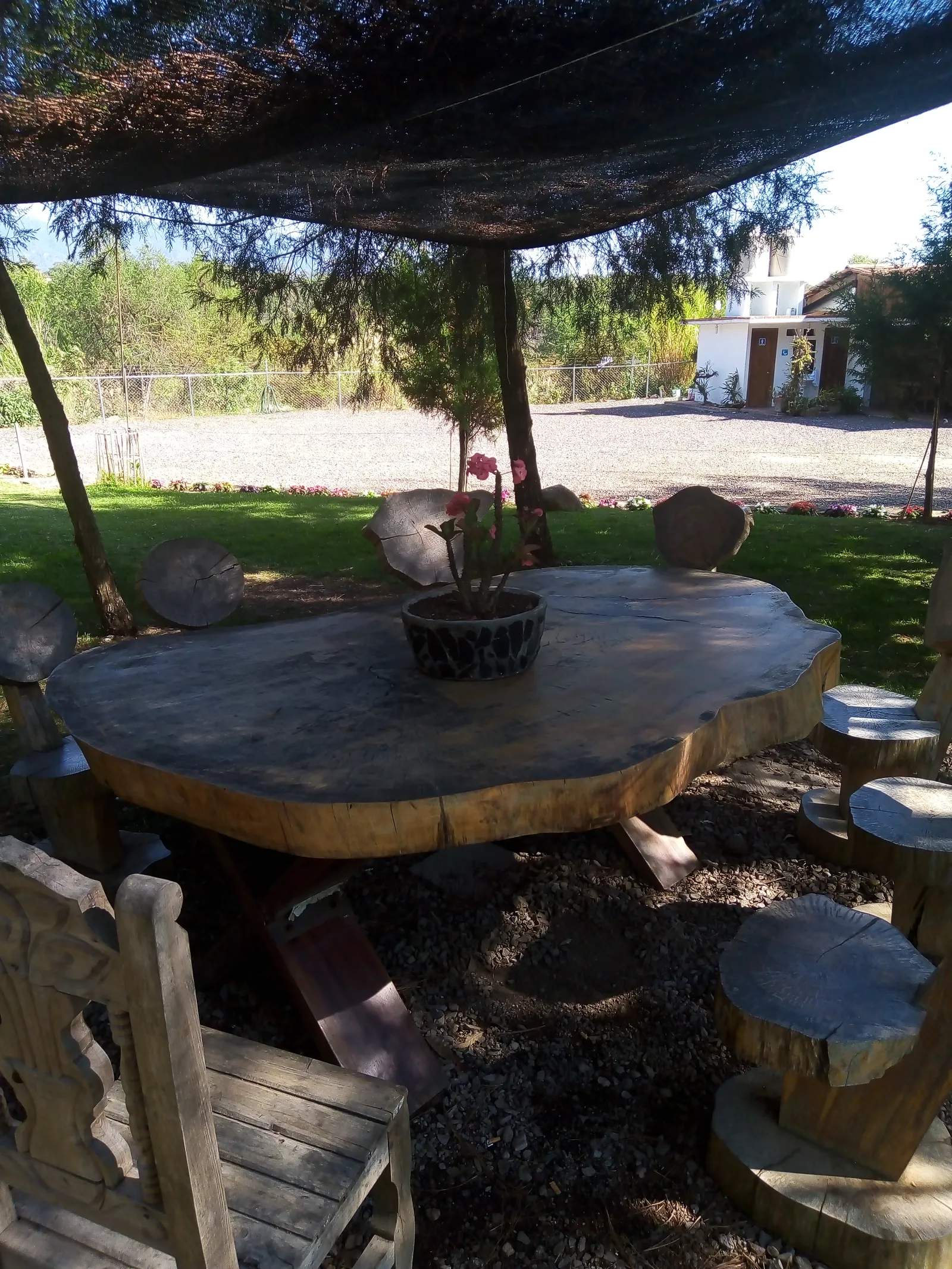 CAMPO AMOR REST image 8