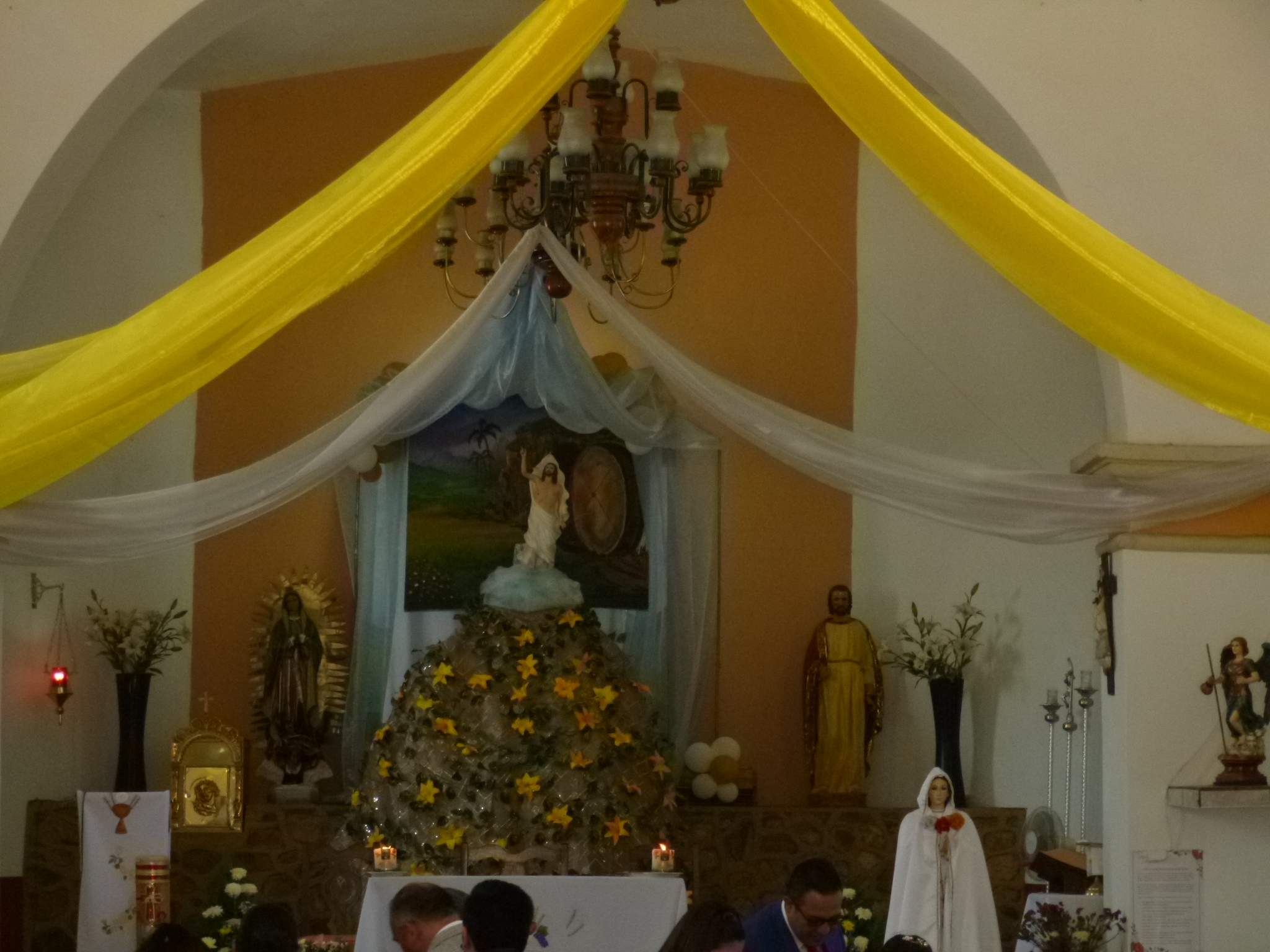 Rancheros del Sur image 8